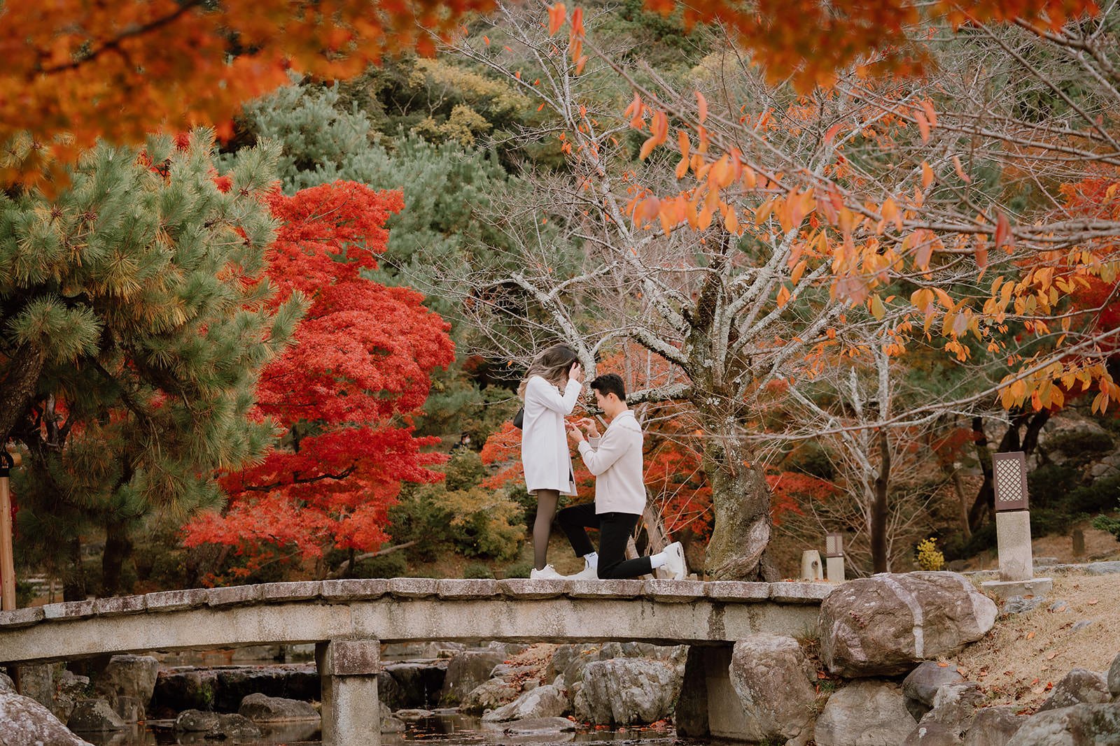 Engaged couple Maruyama Park autumn Kyoto