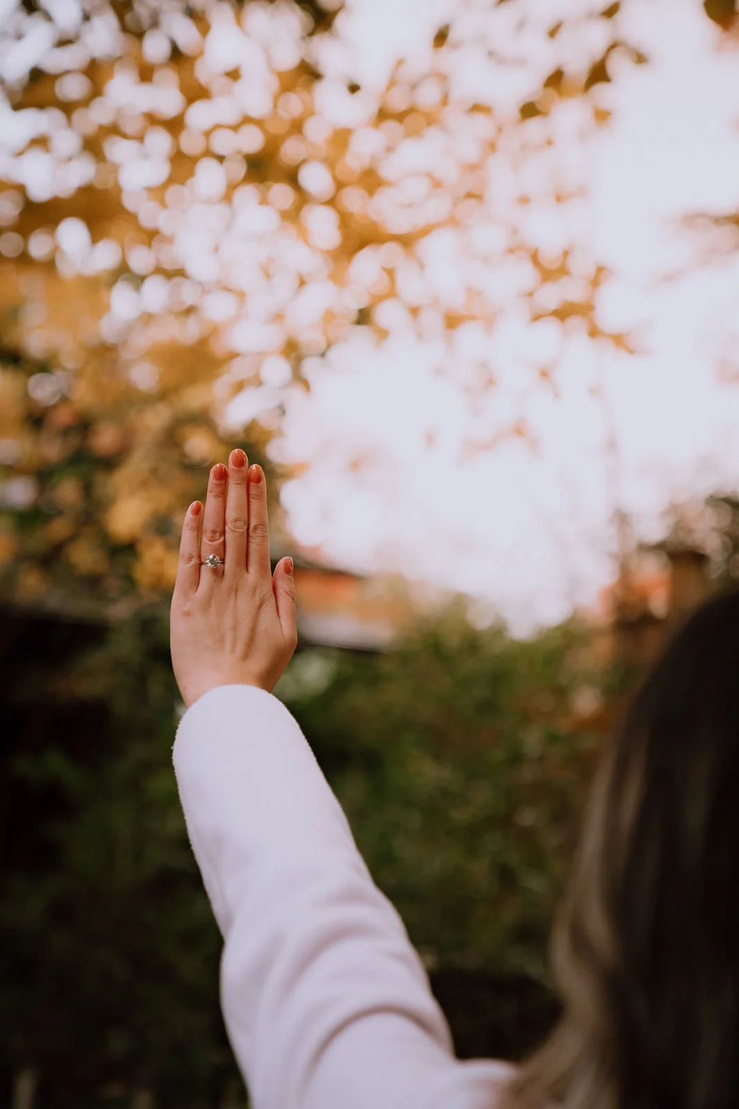 Proposal photographer Kyoto Maruyama autumn afternoon