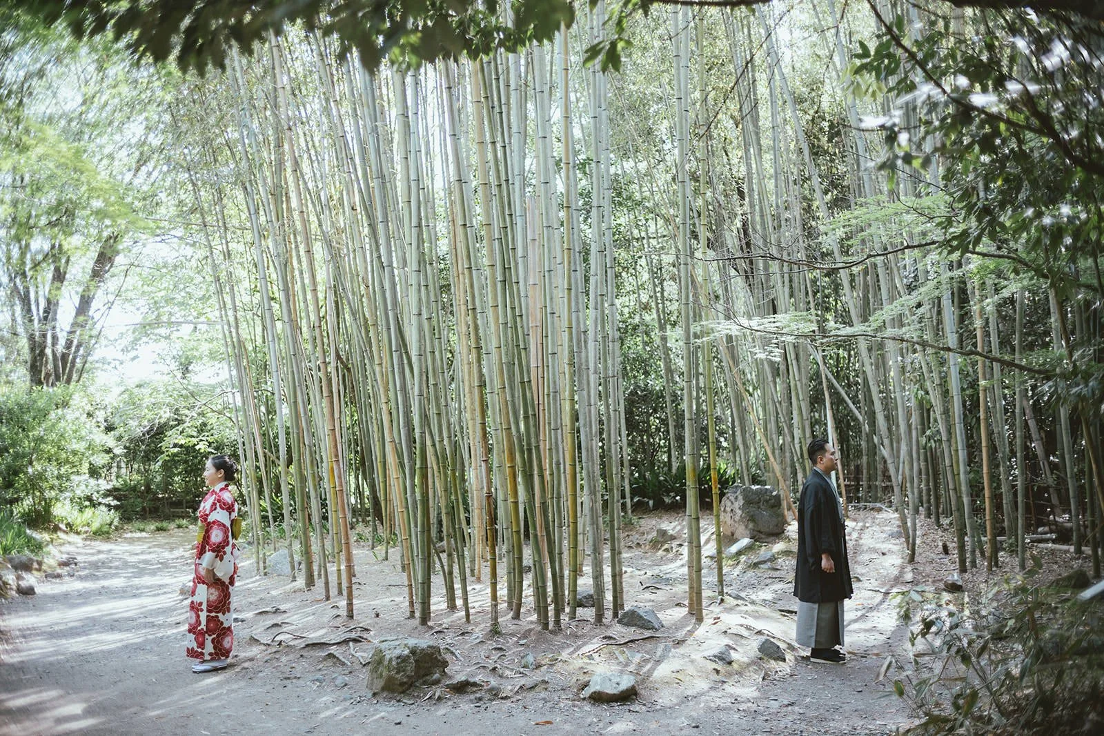 Kimono proposal photoshoot at Arashiyama bamboo grove, Kyoto