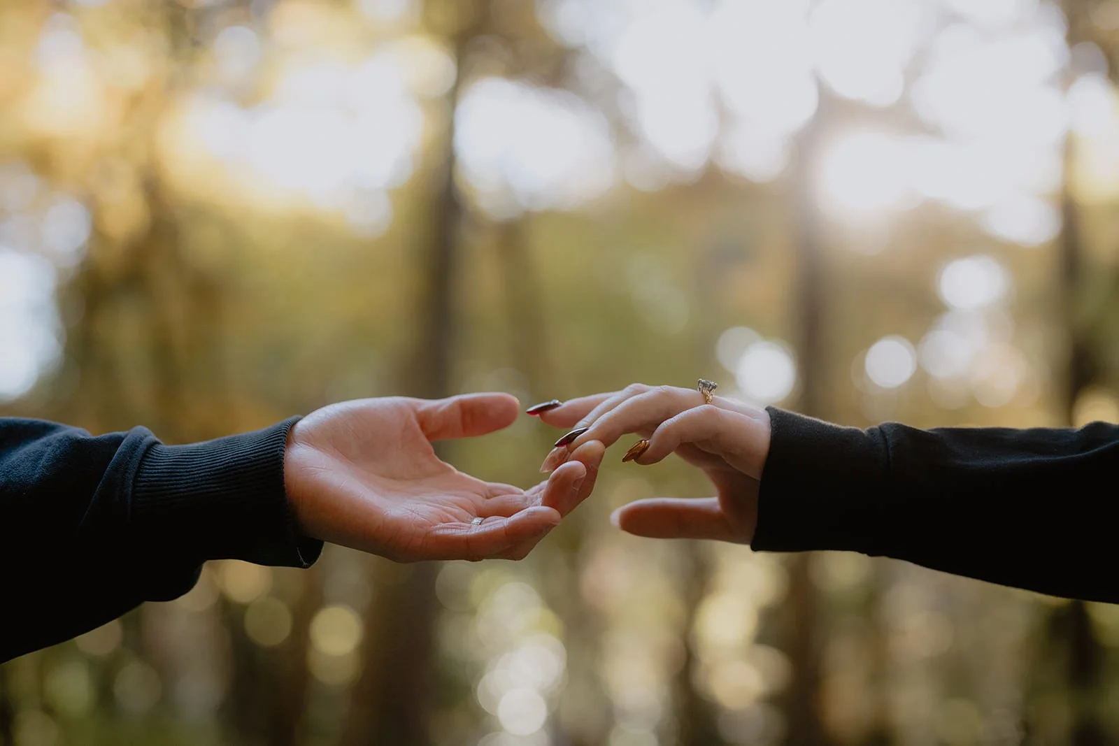 Proposal photoshoot at Daigo-ji temple, Kyoto