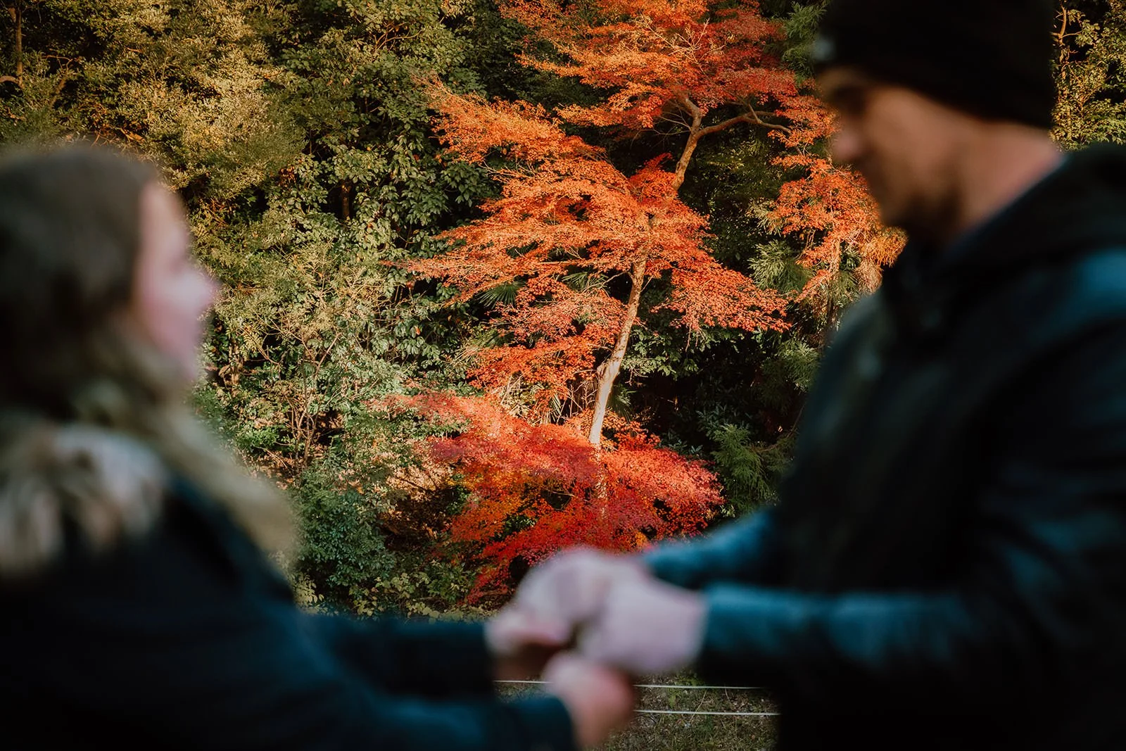 Proposal photoshoot at Fushimi Inari torii gates, Kyoto