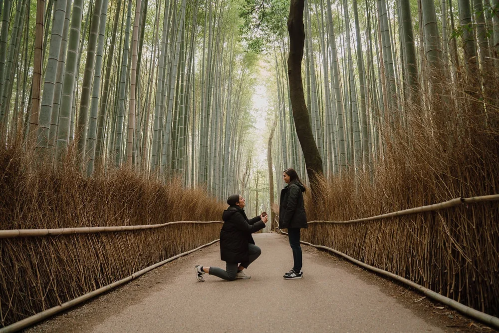 Surprise proposal Arashiyama bamboo grove Kyoto spring morning