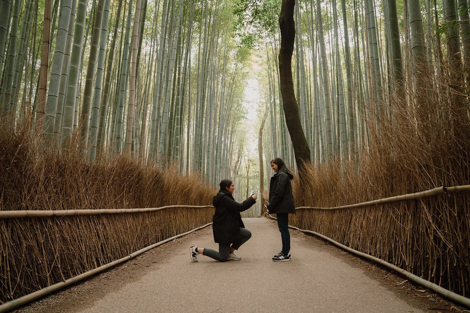 Proposal photography bamboo grove Arashiyama Kyoto spring