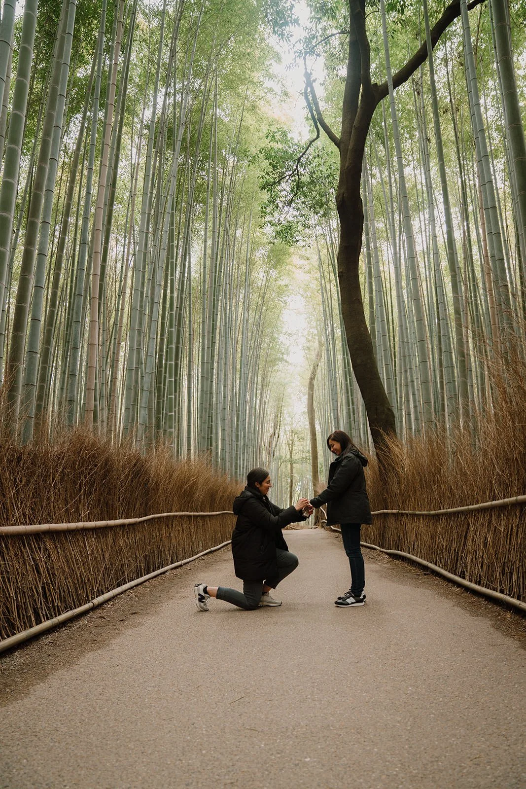 Spring morning proposal Arashiyama bamboo Kyoto