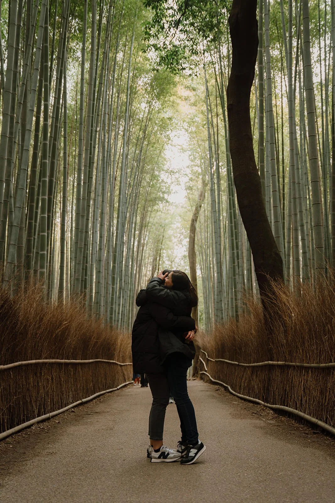 Spring proposal photography bamboo Arashiyama Kyoto
