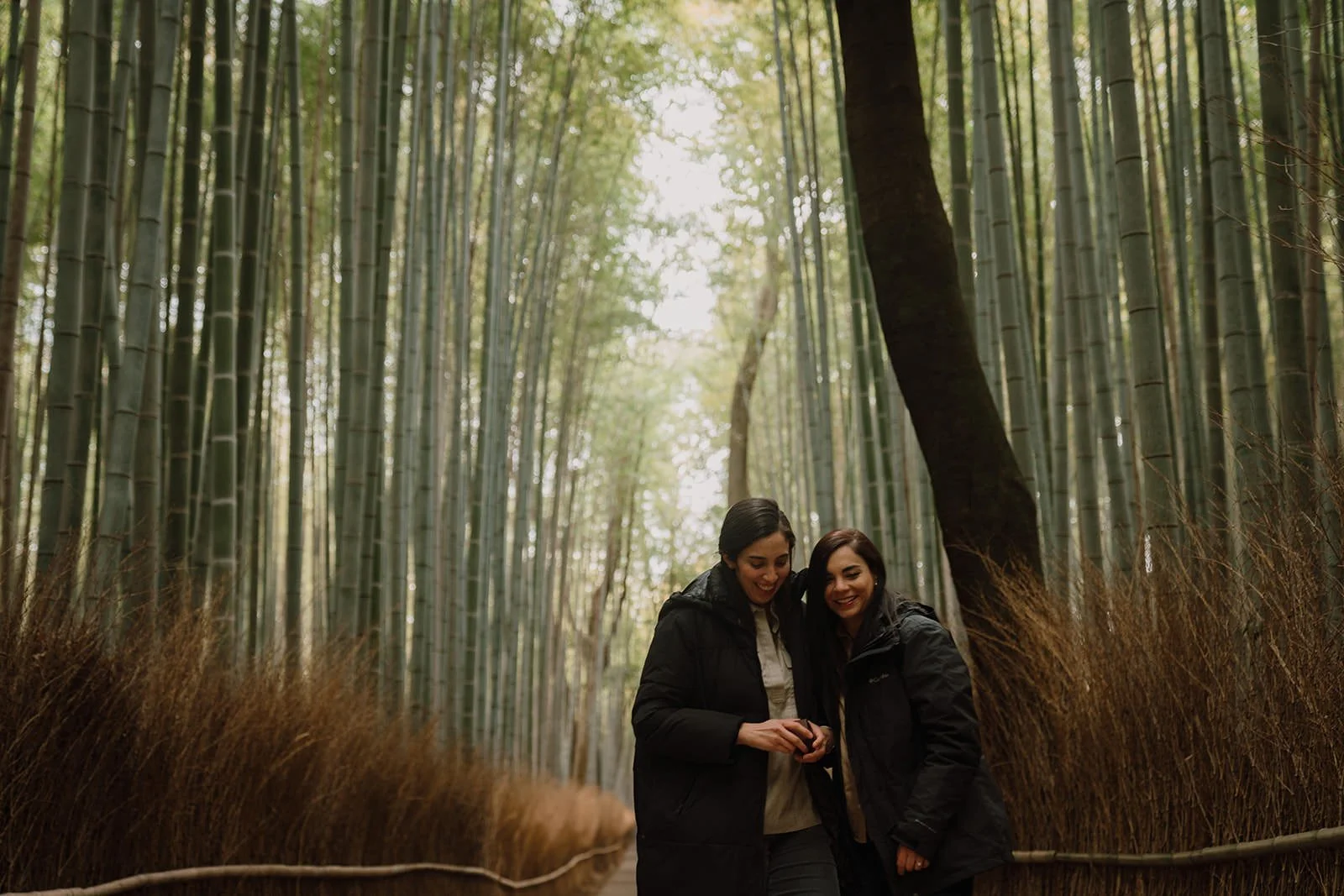 Engaged couple bamboo grove Arashiyama spring Kyoto