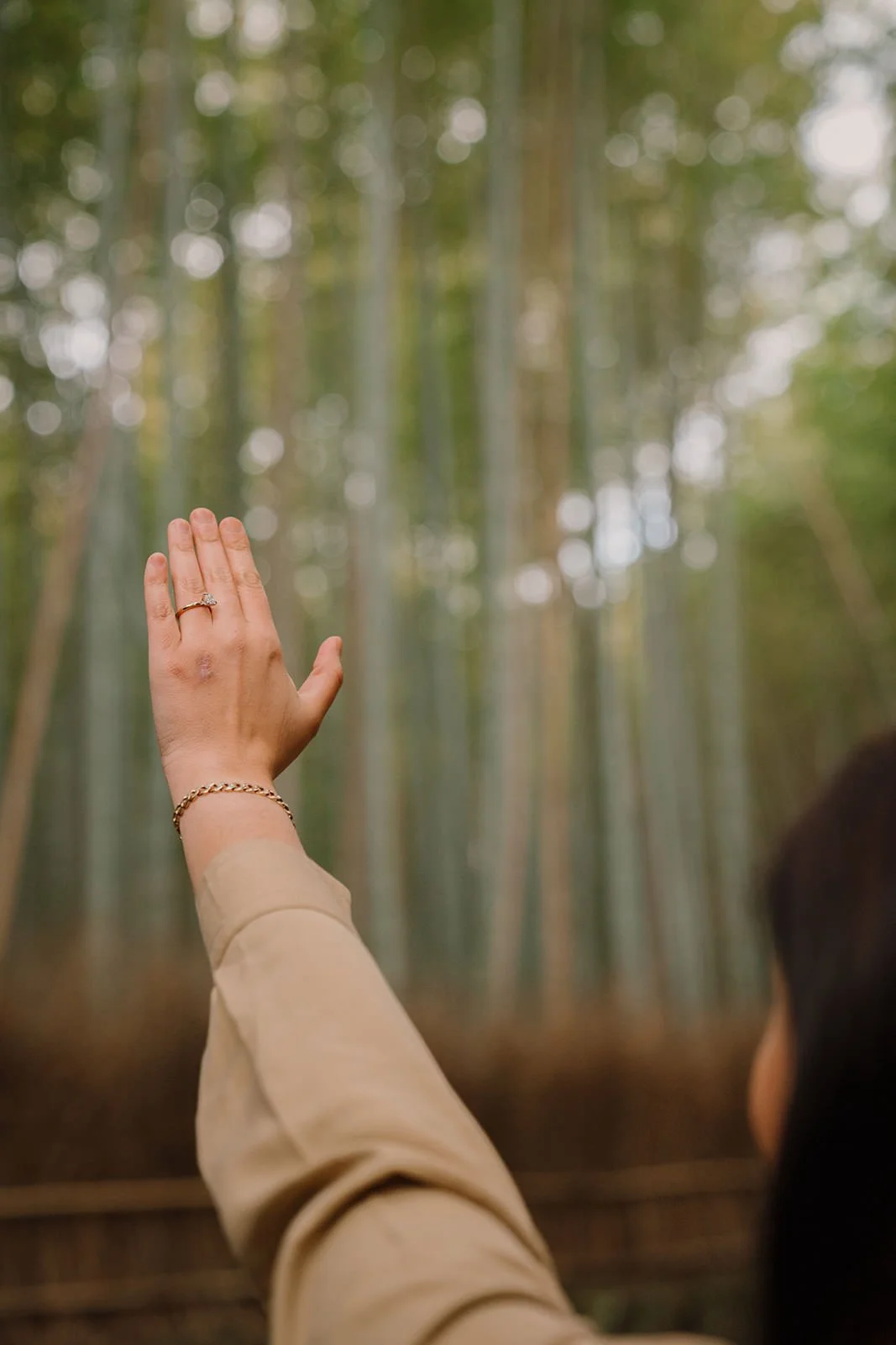Spring morning portrait bamboo grove Kyoto proposal
