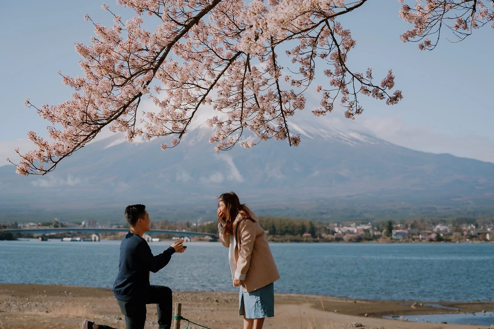 Proposal Cherry Blossoms Fuji Kawaguchiko 3 — Lake Kawaguchiko / Lake Yamanaka, spring afternoon