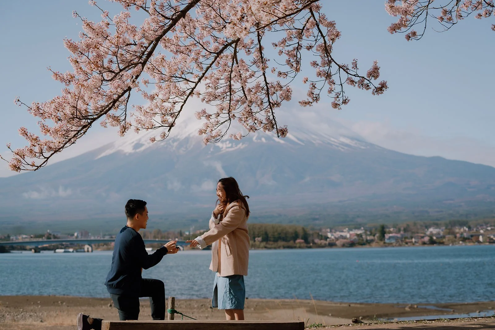 Proposal Cherry Blossoms Fuji Kawaguchiko 4 — Lake Kawaguchiko / Lake Yamanaka, spring afternoon
