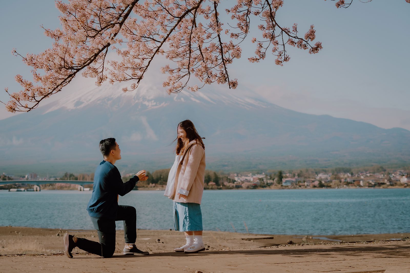 Proposal Cherry Blossoms Fuji Kawaguchiko 5 — Lake Kawaguchiko / Lake Yamanaka, spring afternoon