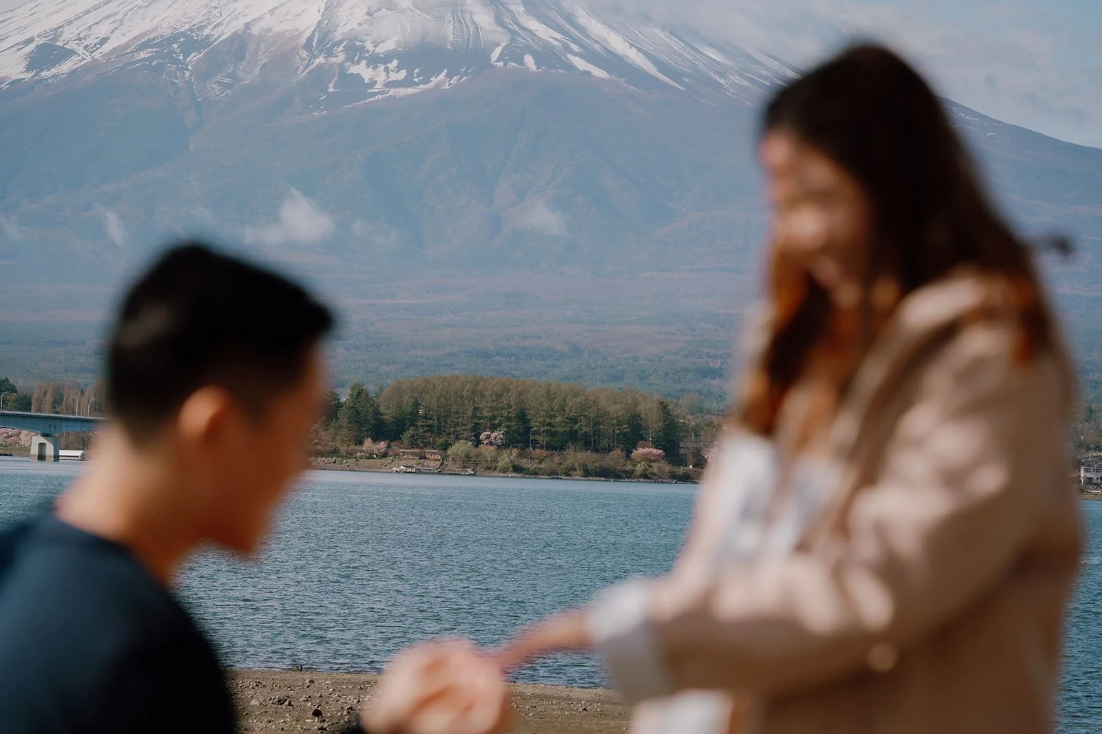 Proposal Cherry Blossoms Fuji Kawaguchiko 8 — Lake Kawaguchiko / Lake Yamanaka, spring afternoon