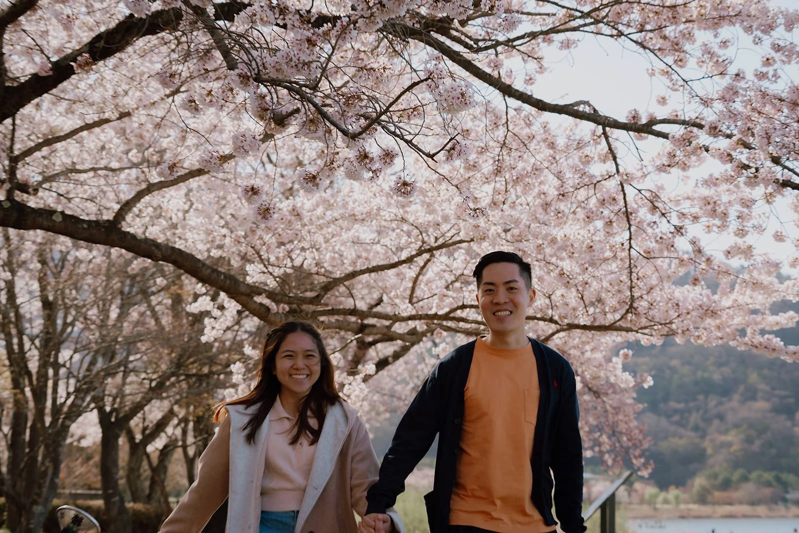 Proposal Cherry Blossoms Fuji Kawaguchiko 18 — Lake Kawaguchiko / Lake Yamanaka, spring afternoon