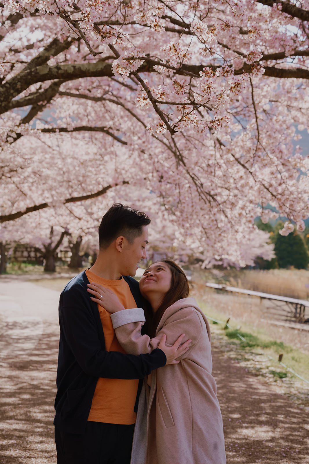Proposal Cherry Blossoms Fuji Kawaguchiko 25 — Lake Kawaguchiko / Lake Yamanaka, spring afternoon