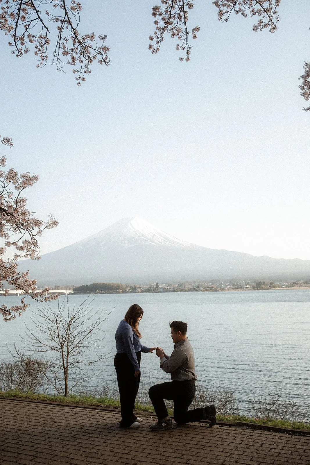 Proposal Fuji Kawaguchiko Sunset Cherry Blossoms 1 — Lake Kawaguchiko / Lake Yamanaka, spring afternoon