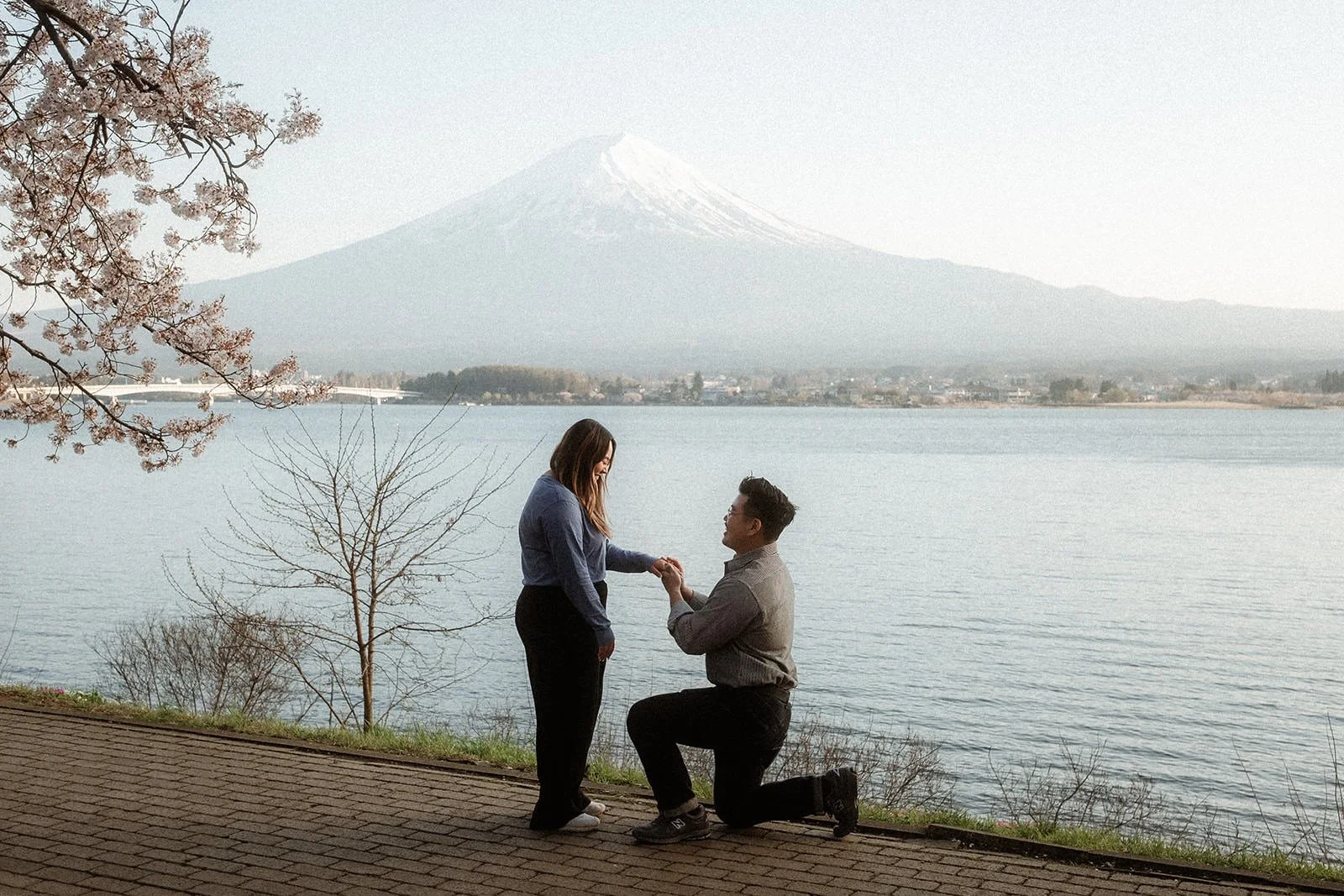 Proposal Fuji Kawaguchiko Sunset Cherry Blossoms 2 — Lake Kawaguchiko / Lake Yamanaka, spring afternoon