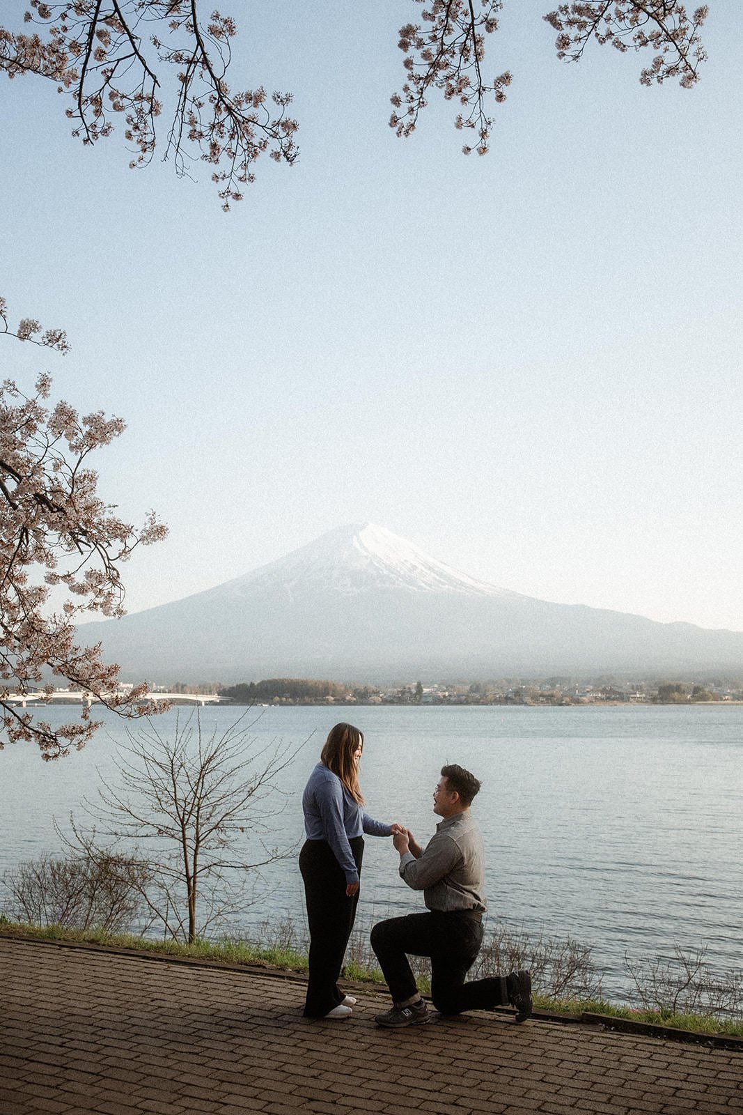 Proposal Fuji Kawaguchiko Sunset Cherry Blossoms 3 — Lake Kawaguchiko / Lake Yamanaka, spring afternoon