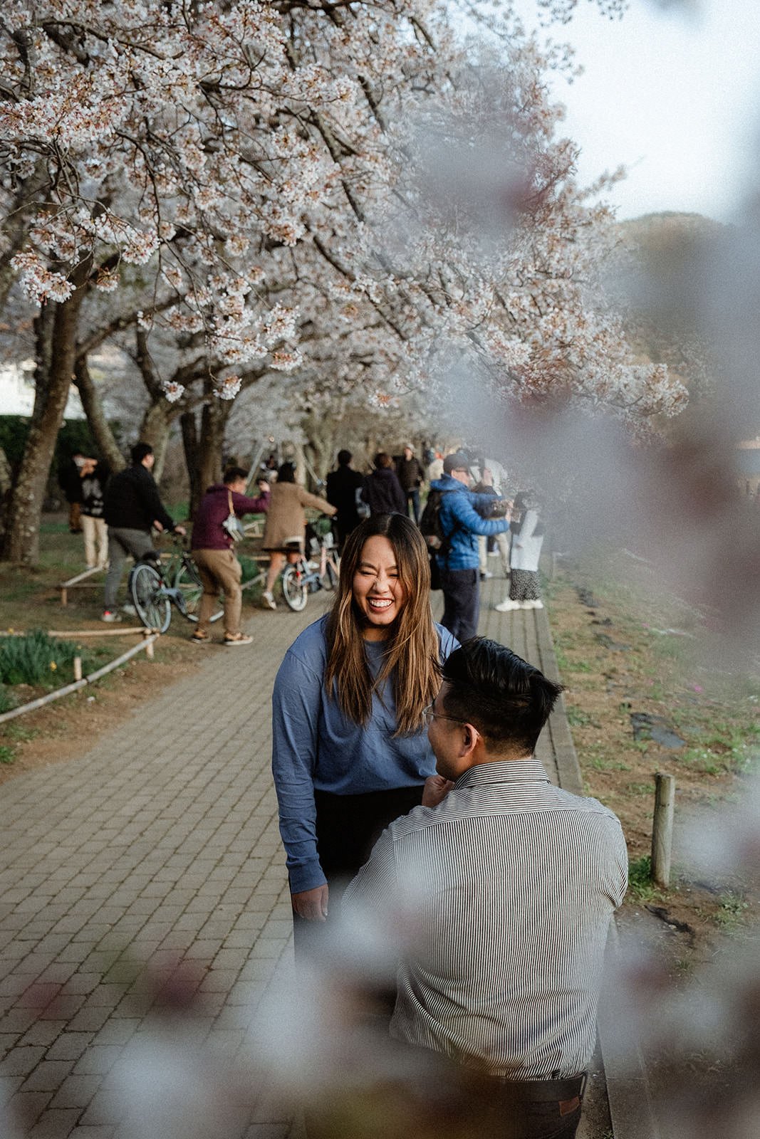 Proposal Fuji Kawaguchiko Sunset Cherry Blossoms 5 — Lake Kawaguchiko / Lake Yamanaka, spring afternoon
