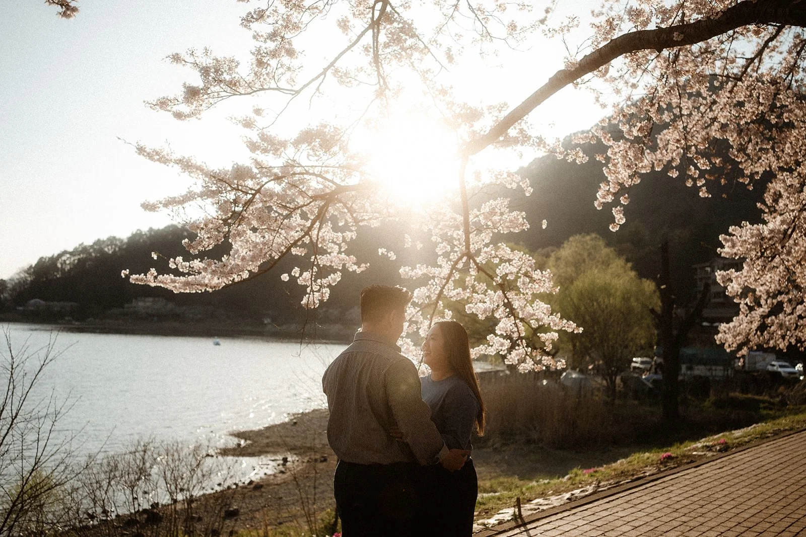 Proposal Fuji Kawaguchiko Sunset Cherry Blossoms 10 — Lake Kawaguchiko / Lake Yamanaka, spring afternoon