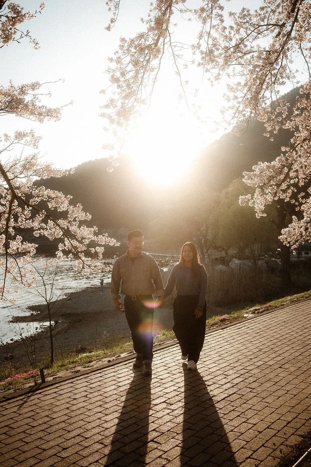 Proposal Fuji Kawaguchiko Sunset Cherry Blossoms 14 — Lake Kawaguchiko / Lake Yamanaka, spring afternoon
