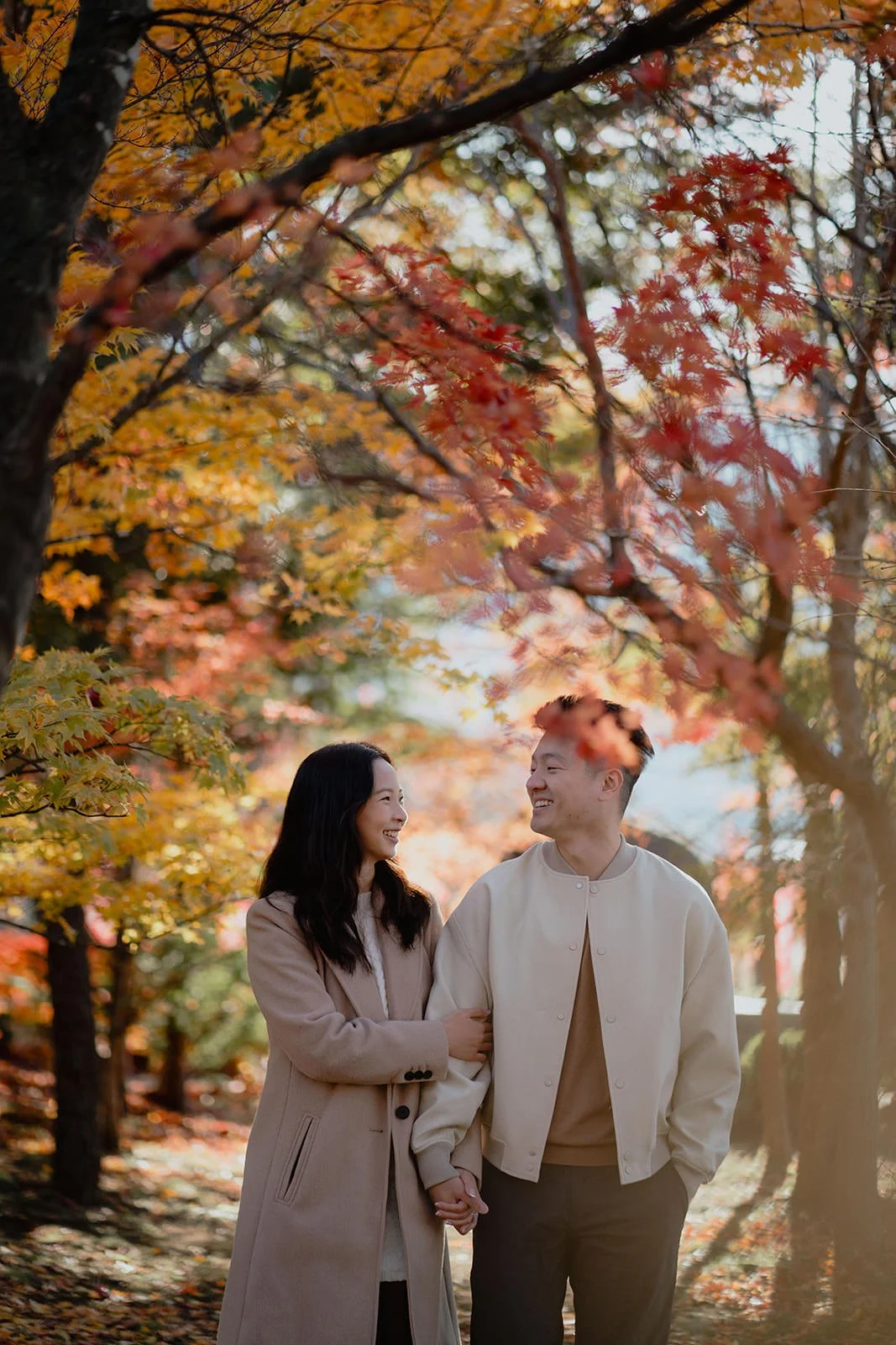 Proposal Kawaguchiko Fuji Autumn 27 — Lake Kawaguchiko / Lake Yamanaka, spring afternoon