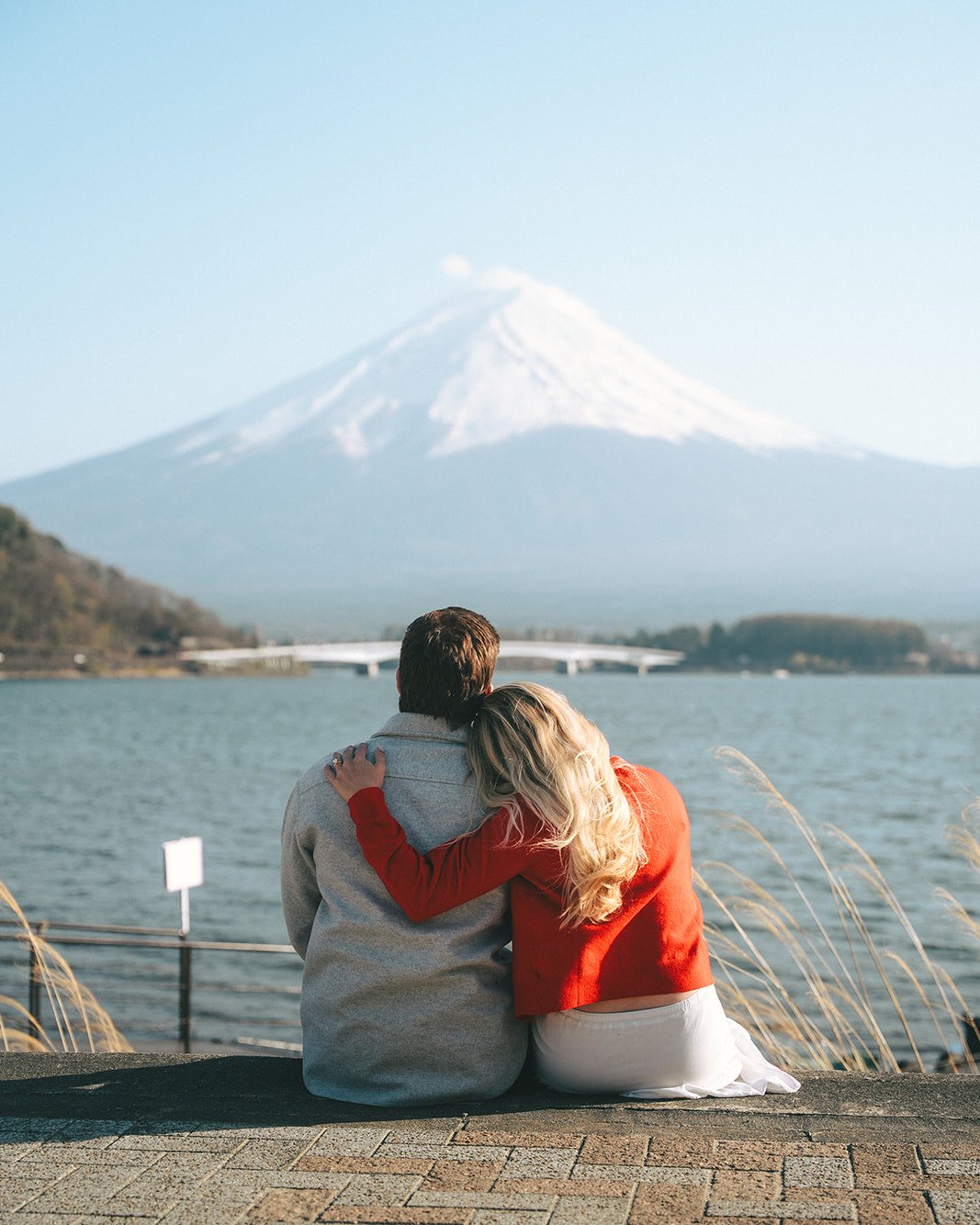 Proposal Kawaguchiko Fuji Cherry Blossoms 7 — Lake Kawaguchiko / Lake Yamanaka, spring afternoon