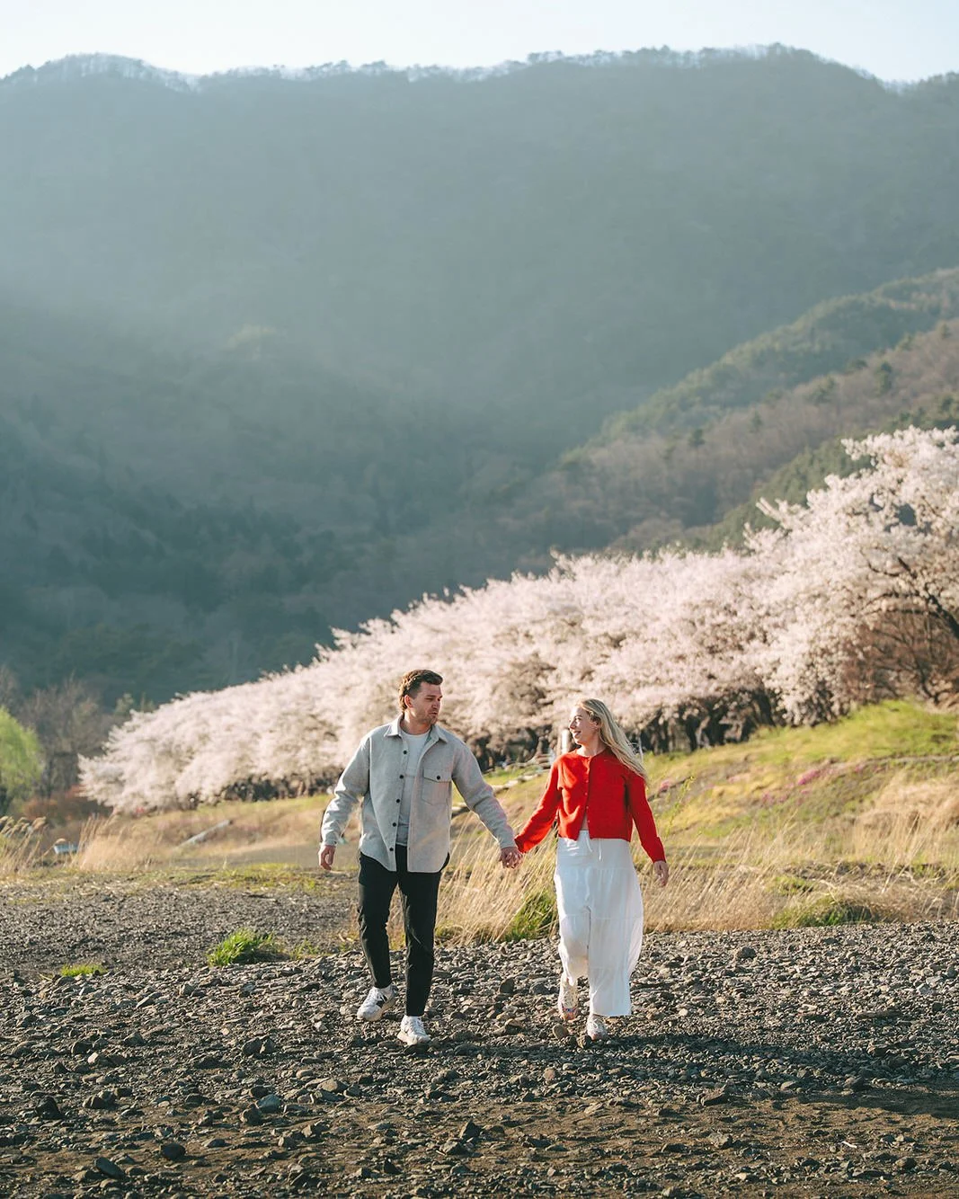 Proposal Kawaguchiko Fuji Cherry Blossoms 12 — Lake Kawaguchiko / Lake Yamanaka, spring afternoon