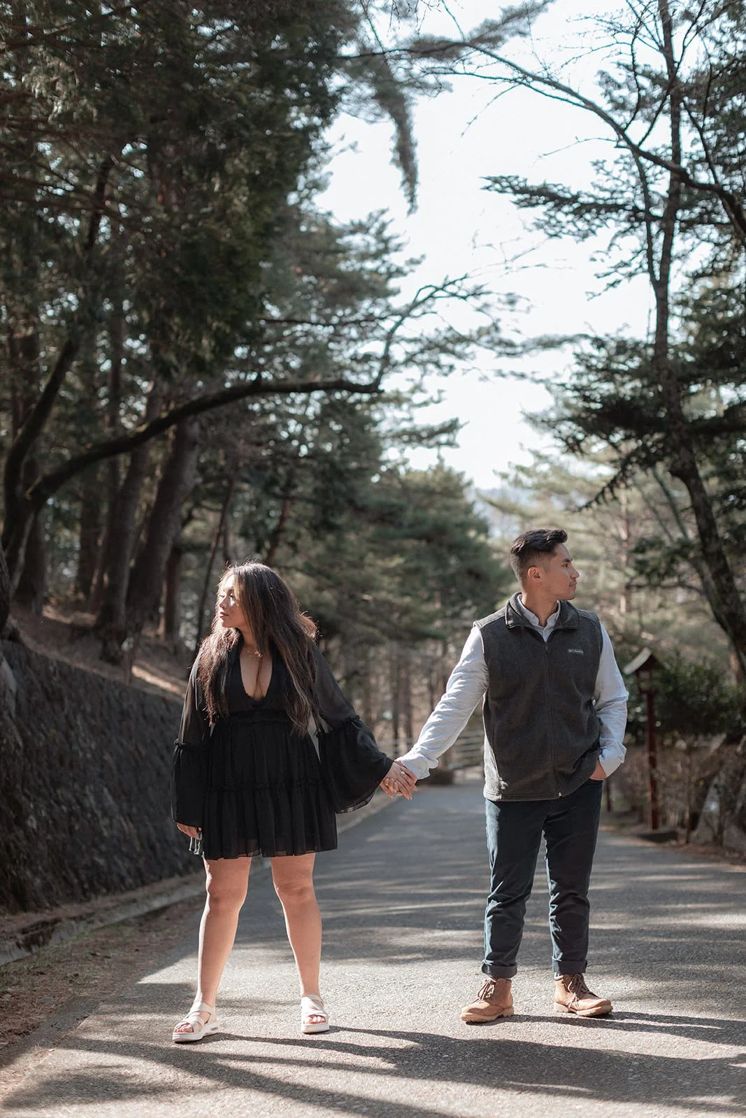 Proposal Kawaguchiko Fuji Chureito Pagoda 12 — Chureito Pagoda, spring morning