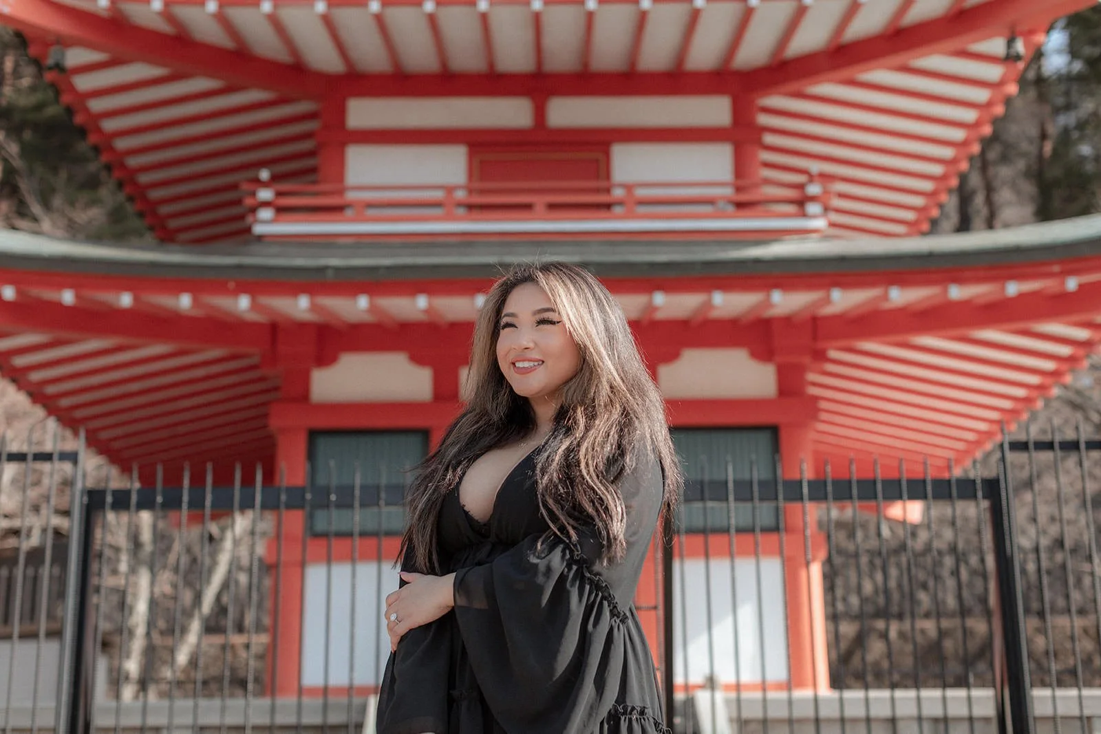 Proposal Kawaguchiko Fuji Chureito Pagoda 22 — Chureito Pagoda, spring morning