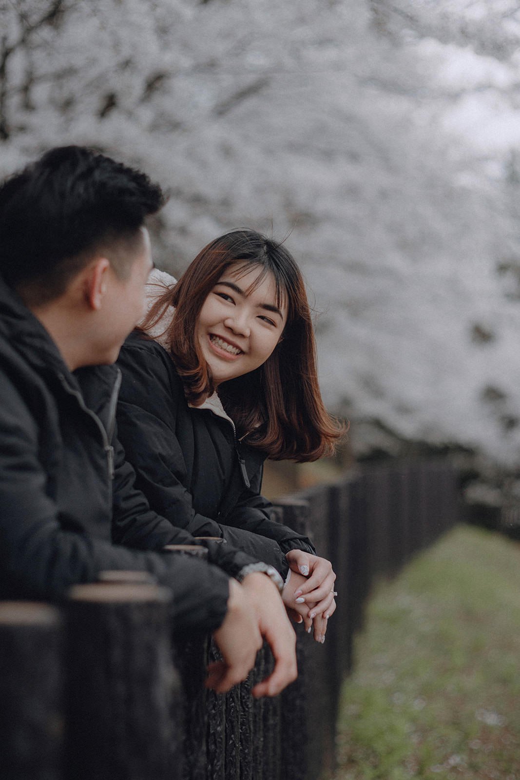 Proposal Kawaguchiko Fuji Chureito Pagoda Cherry Blossoms 13 — Chureito Pagoda, spring morning