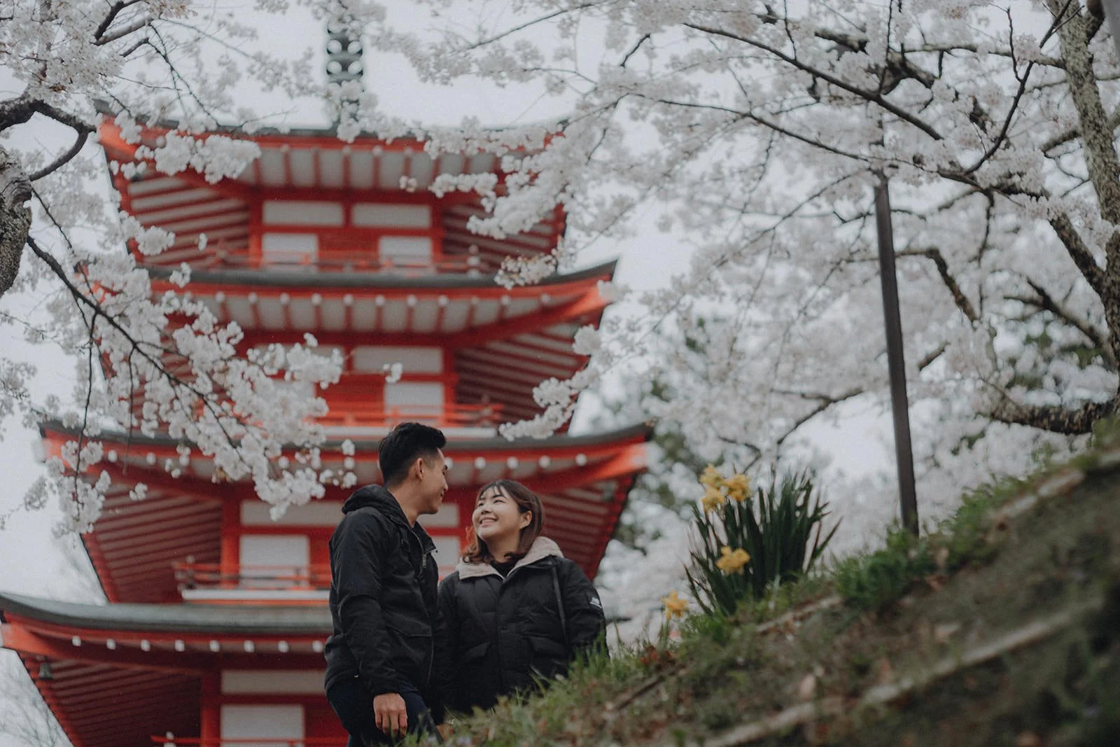 Proposal Kawaguchiko Fuji Chureito Pagoda Cherry Blossoms 16 — Chureito Pagoda, spring morning