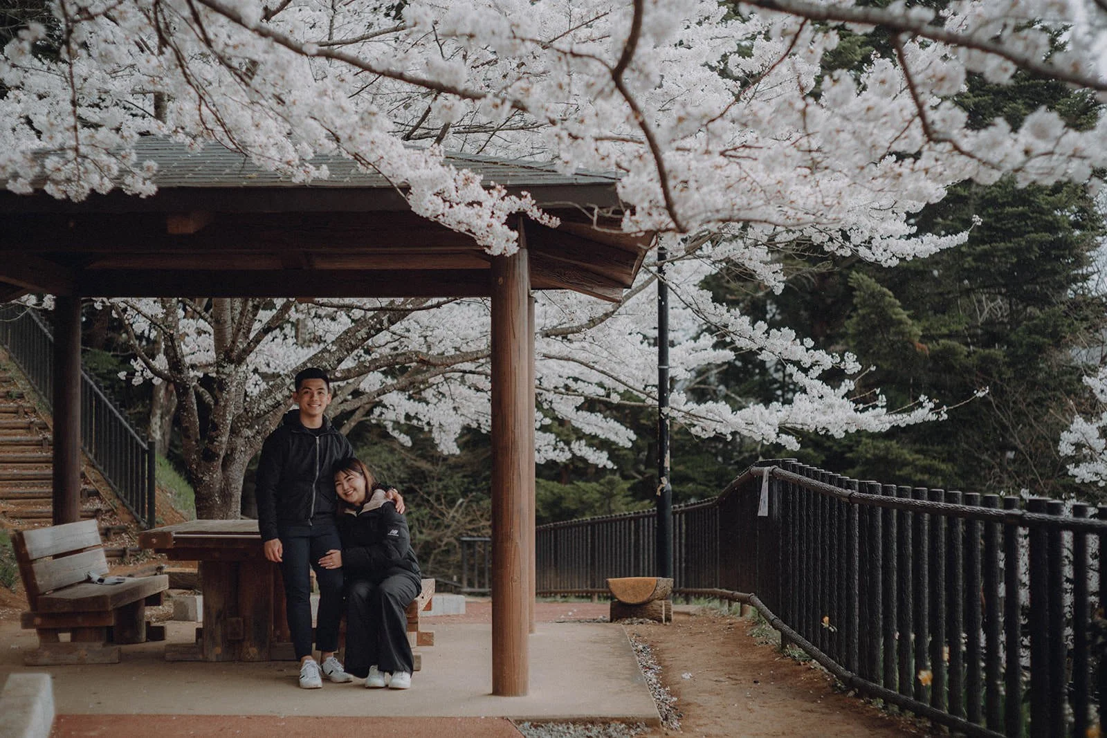Proposal Kawaguchiko Fuji Chureito Pagoda Cherry Blossoms 17 — Chureito Pagoda, spring morning