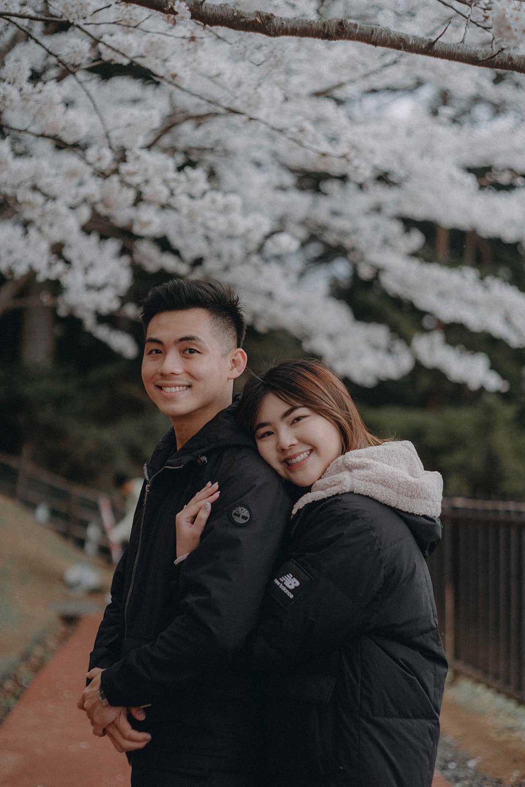 Proposal Kawaguchiko Fuji Chureito Pagoda Cherry Blossoms 18 — Chureito Pagoda, spring morning