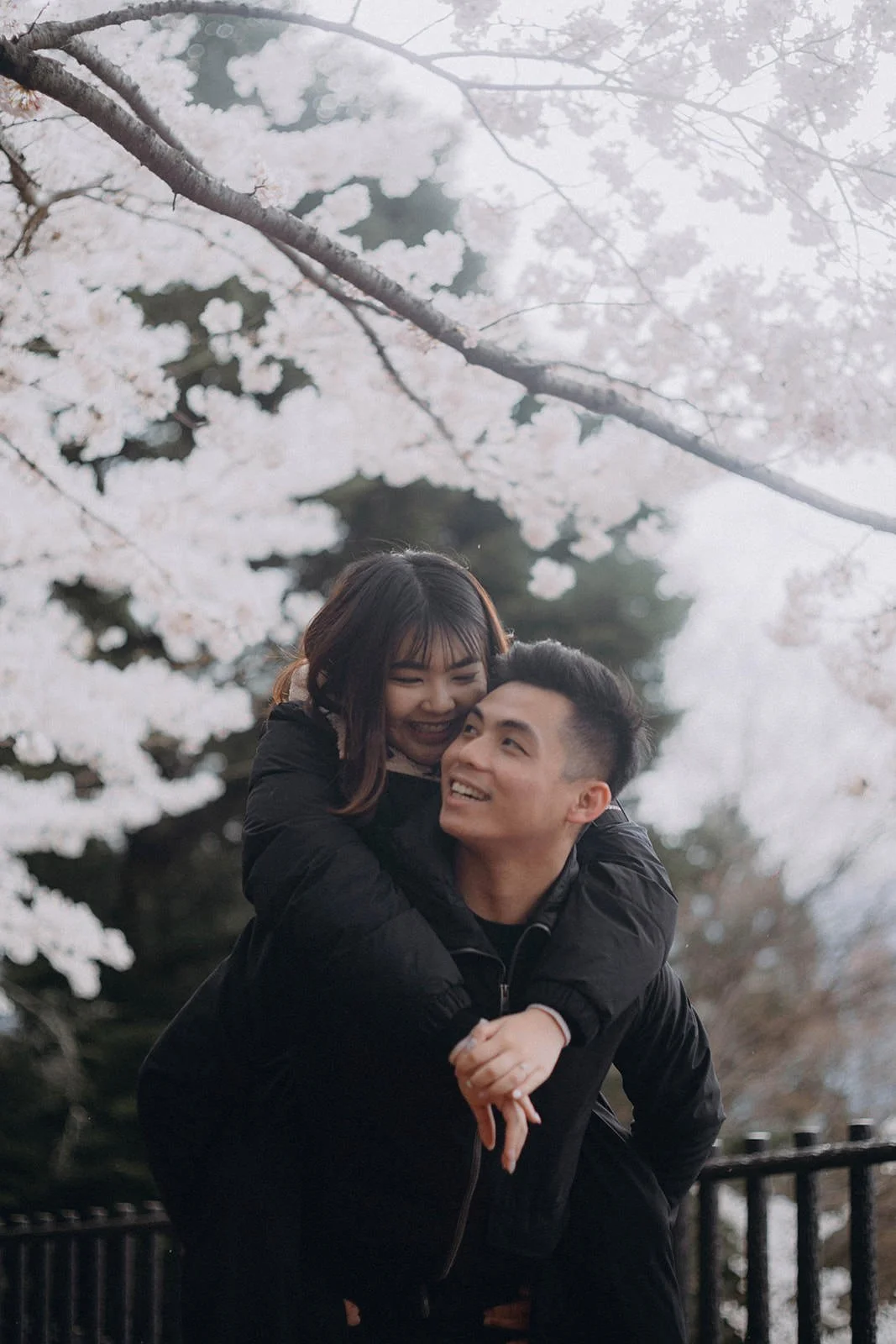 Proposal Kawaguchiko Fuji Chureito Pagoda Cherry Blossoms 20 — Chureito Pagoda, spring morning
