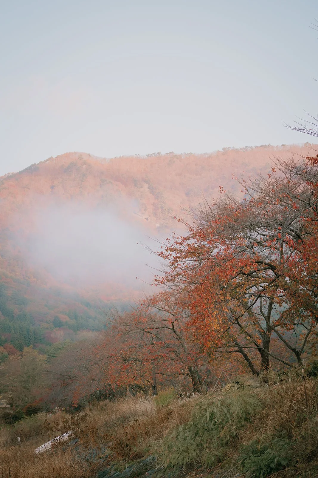 Proposal Kawaguchiko Fuji Lake Haze 1 — Lake Kawaguchiko / Lake Yamanaka, autumn morning