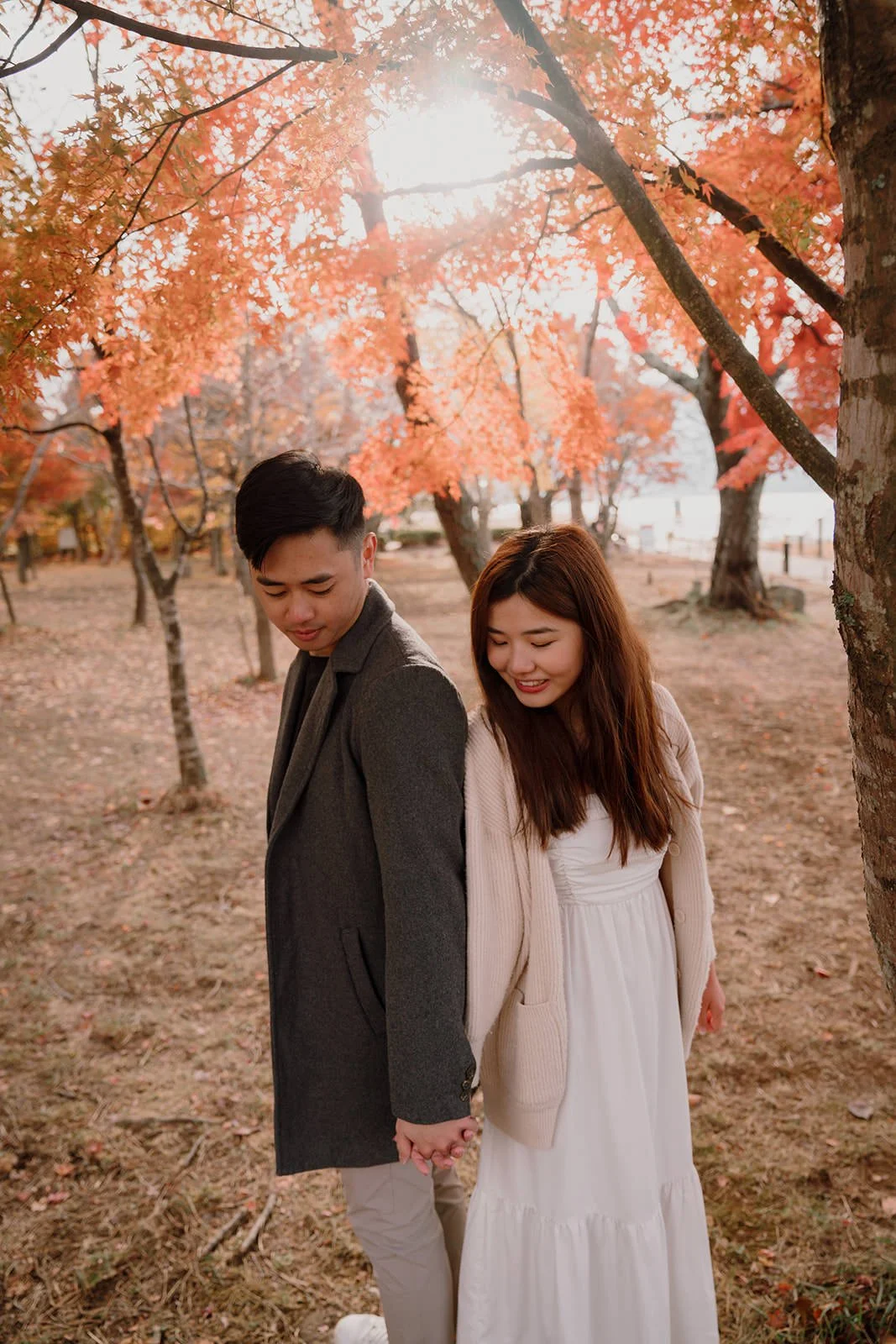 Proposal Kawaguchiko Fuji Lake Haze 30 — Lake Kawaguchiko / Lake Yamanaka, autumn morning