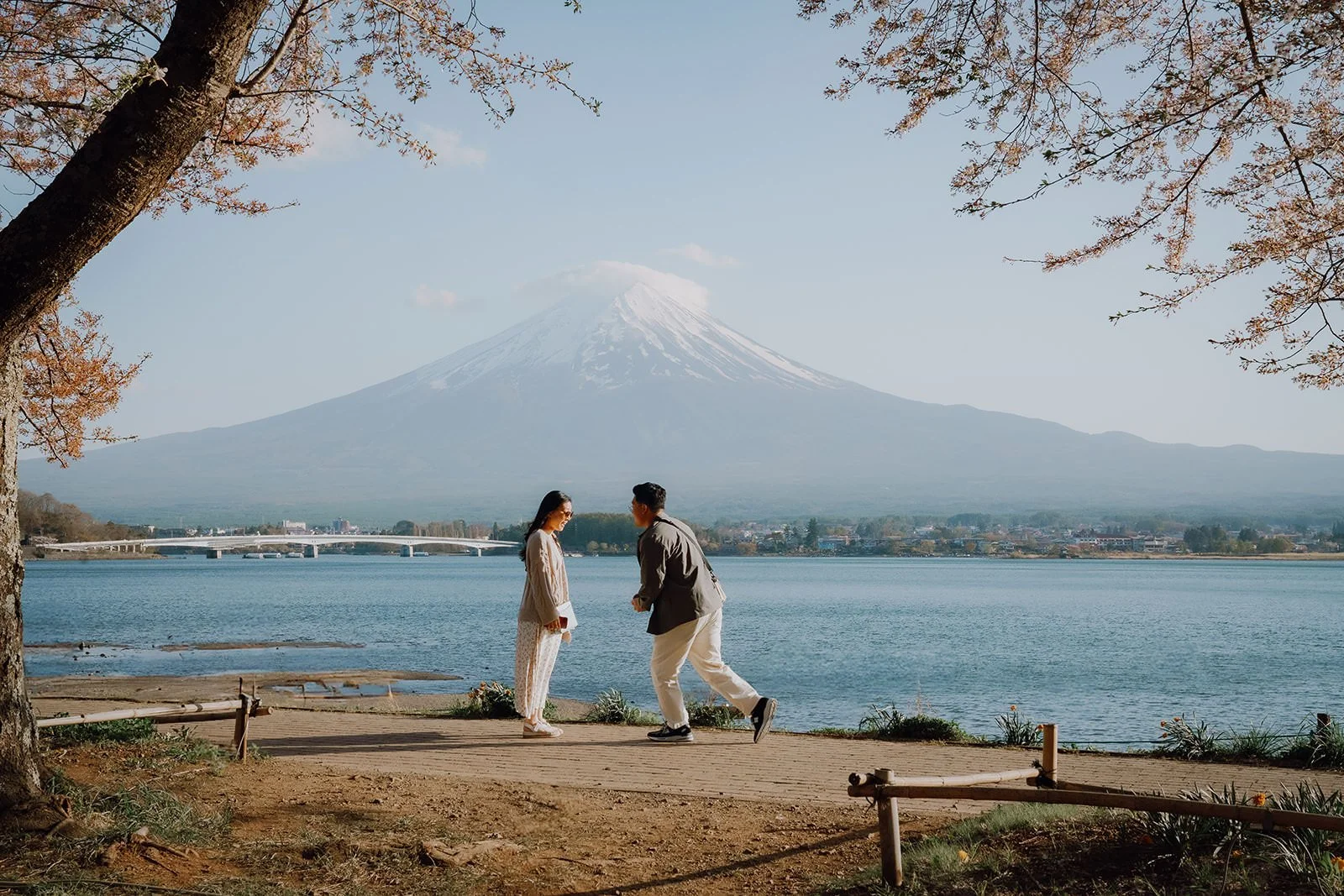 Sunset Cherry Blossom Proposal Kawaguchiko Fuji 1 — Lake Kawaguchiko / Lake Yamanaka, autumn morning