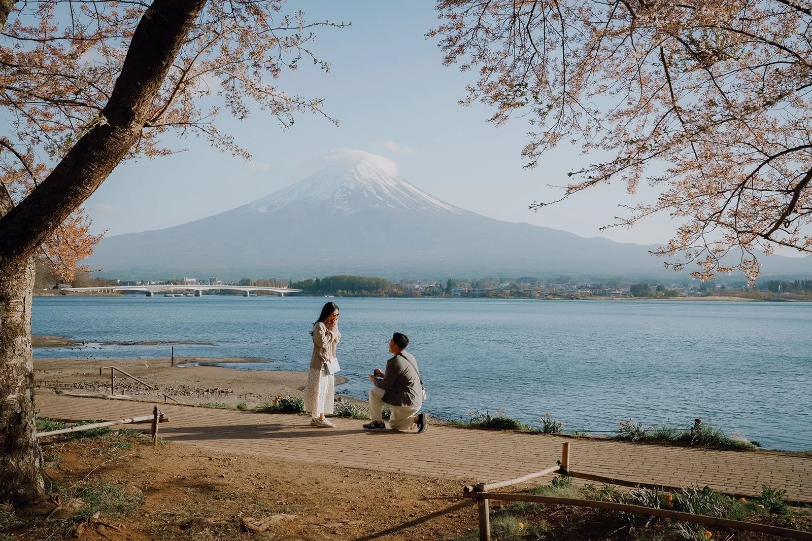 Sunset Cherry Blossom Proposal Kawaguchiko Fuji 3 — Lake Kawaguchiko / Lake Yamanaka, autumn morning