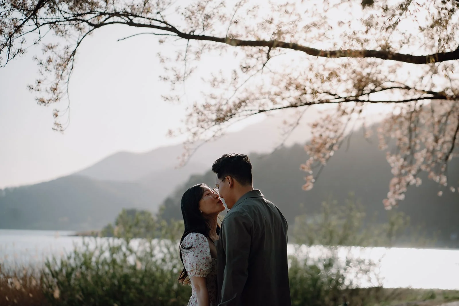 Sunset Cherry Blossom Proposal Kawaguchiko Fuji 8 — Lake Kawaguchiko / Lake Yamanaka, autumn morning