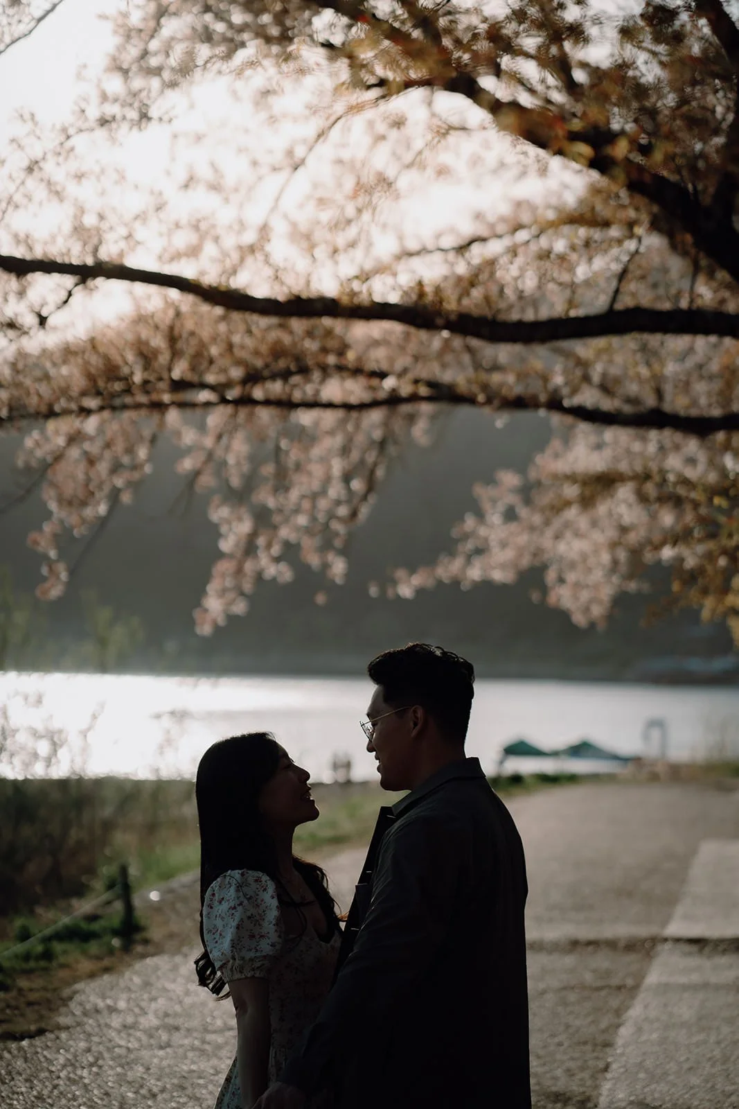 Sunset Cherry Blossom Proposal Kawaguchiko Fuji 10 — Lake Kawaguchiko / Lake Yamanaka, autumn morning