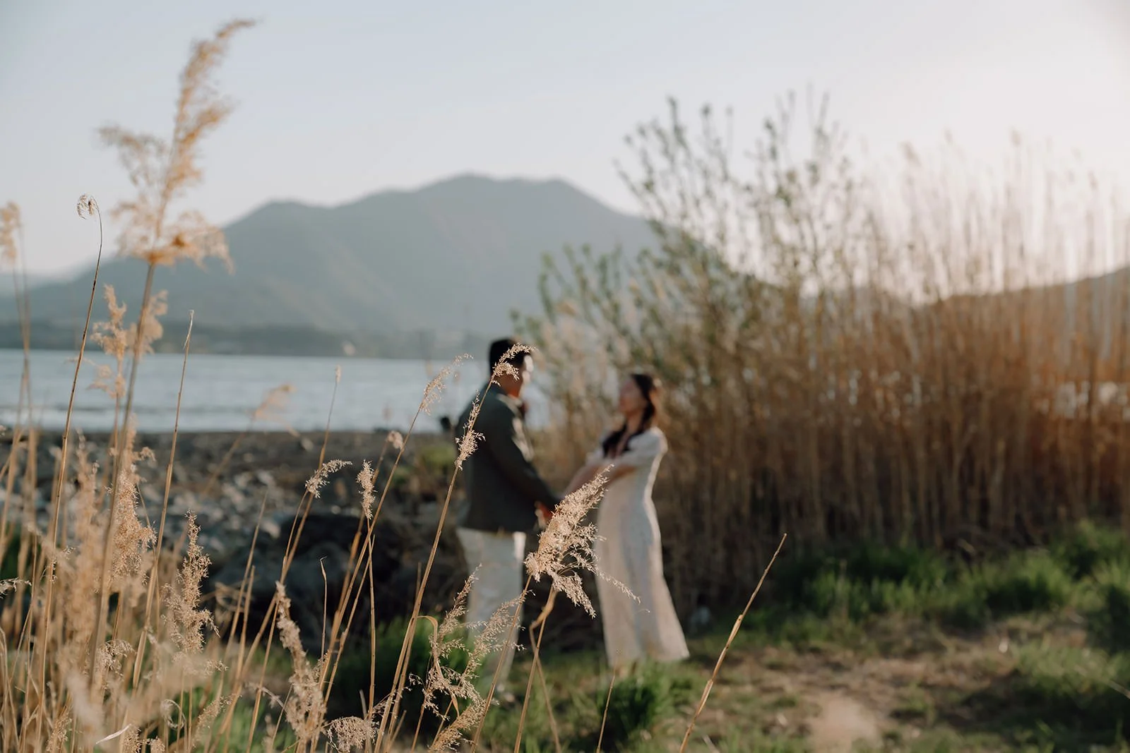 Sunset Cherry Blossom Proposal Kawaguchiko Fuji 13 — Lake Kawaguchiko / Lake Yamanaka, autumn morning