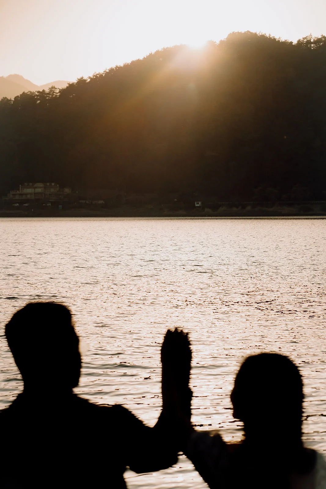 Sunset Cherry Blossom Proposal Kawaguchiko Fuji 28 — Lake Kawaguchiko / Lake Yamanaka, autumn morning