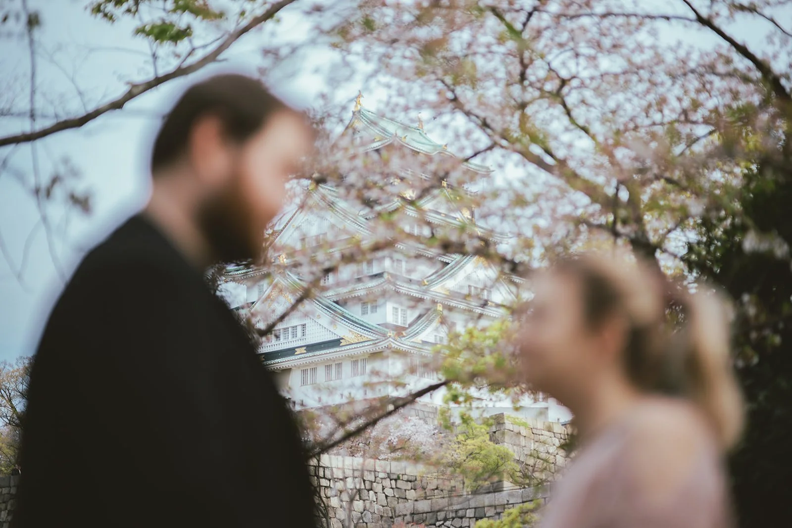 Cherry blossom proposal photoshoot at Osaka Castle 11 of 29