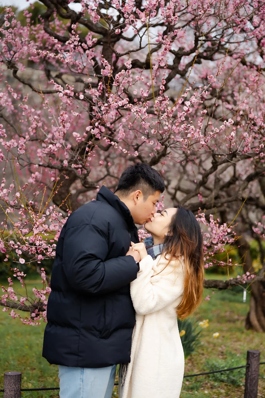 Plum blossom proposal photoshoot at Osaka Castle 18 of 29