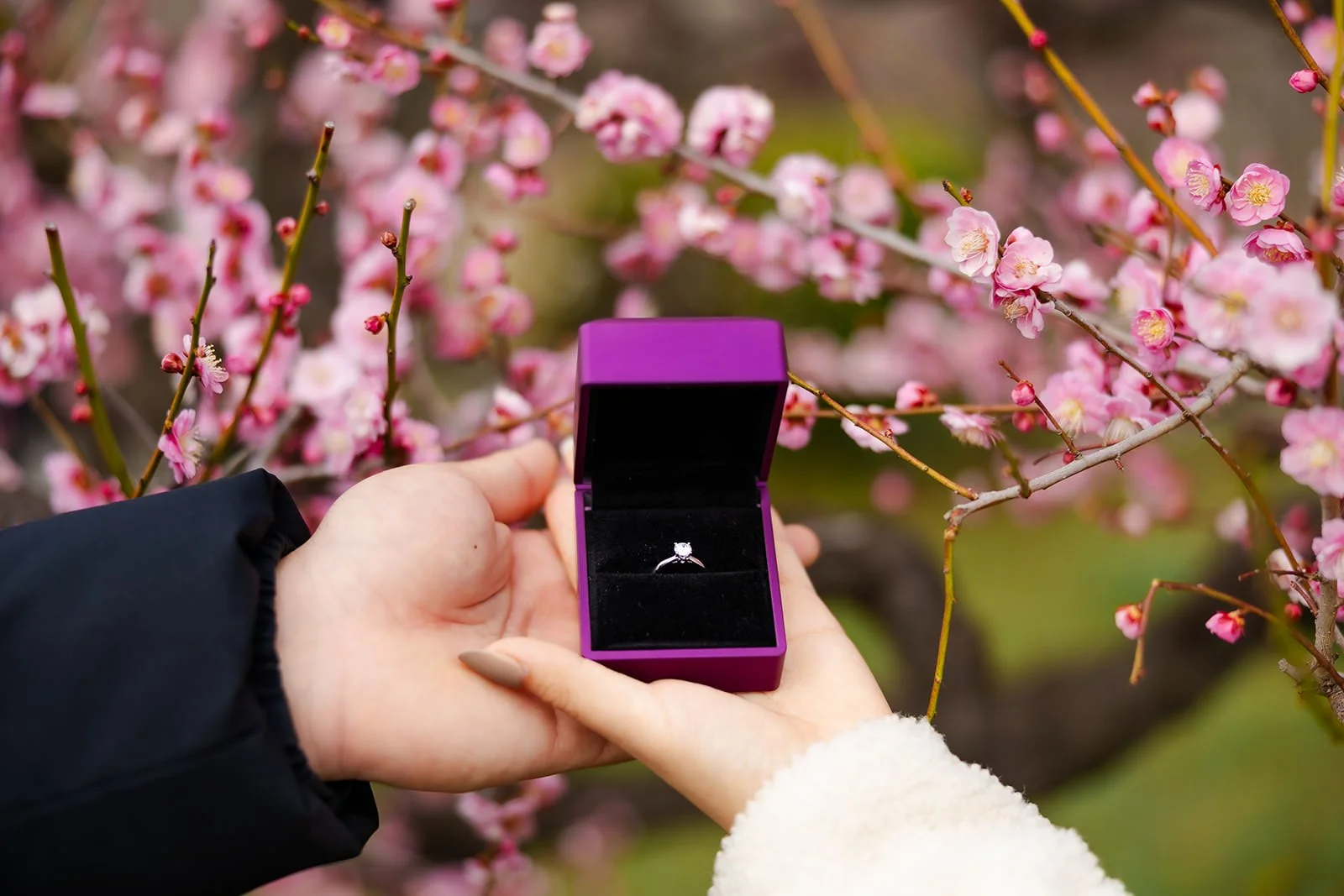 Plum blossom proposal photoshoot at Osaka Castle 19 of 29