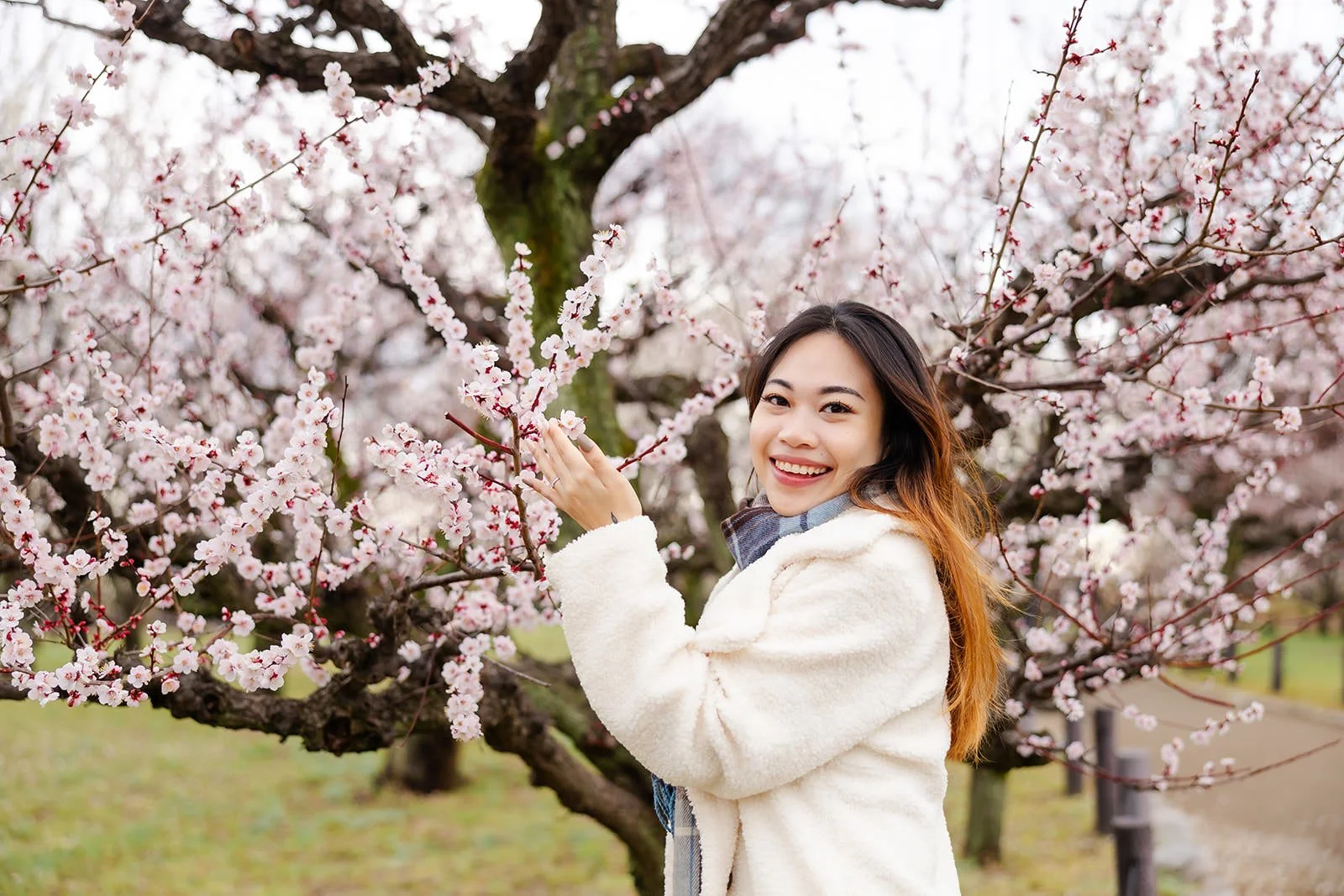 Plum blossom proposal photoshoot at Osaka Castle 27 of 29