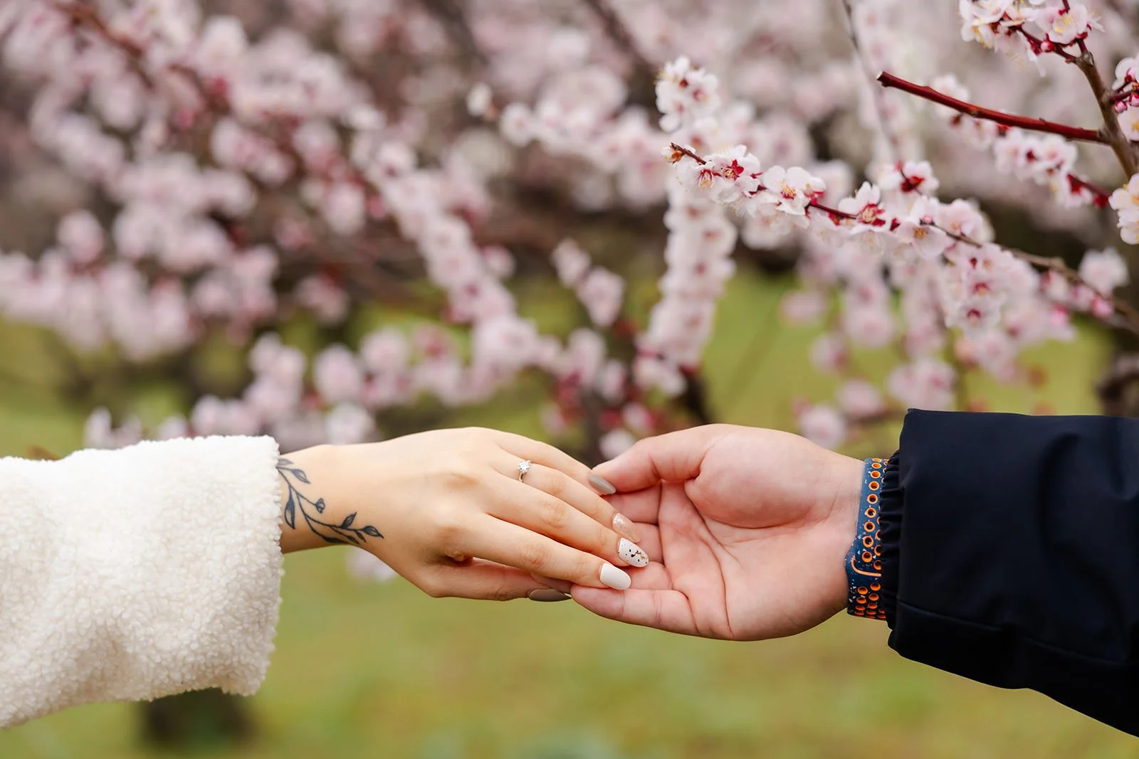 Plum blossom proposal photoshoot at Osaka Castle 29 of 29