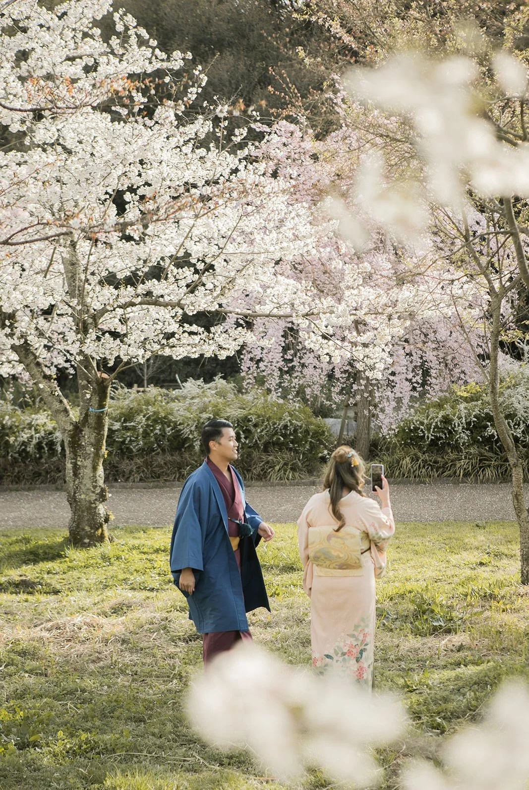 Kimono proposal photoshoot at Osaka Expo Park with cherry blossoms 1 of 27