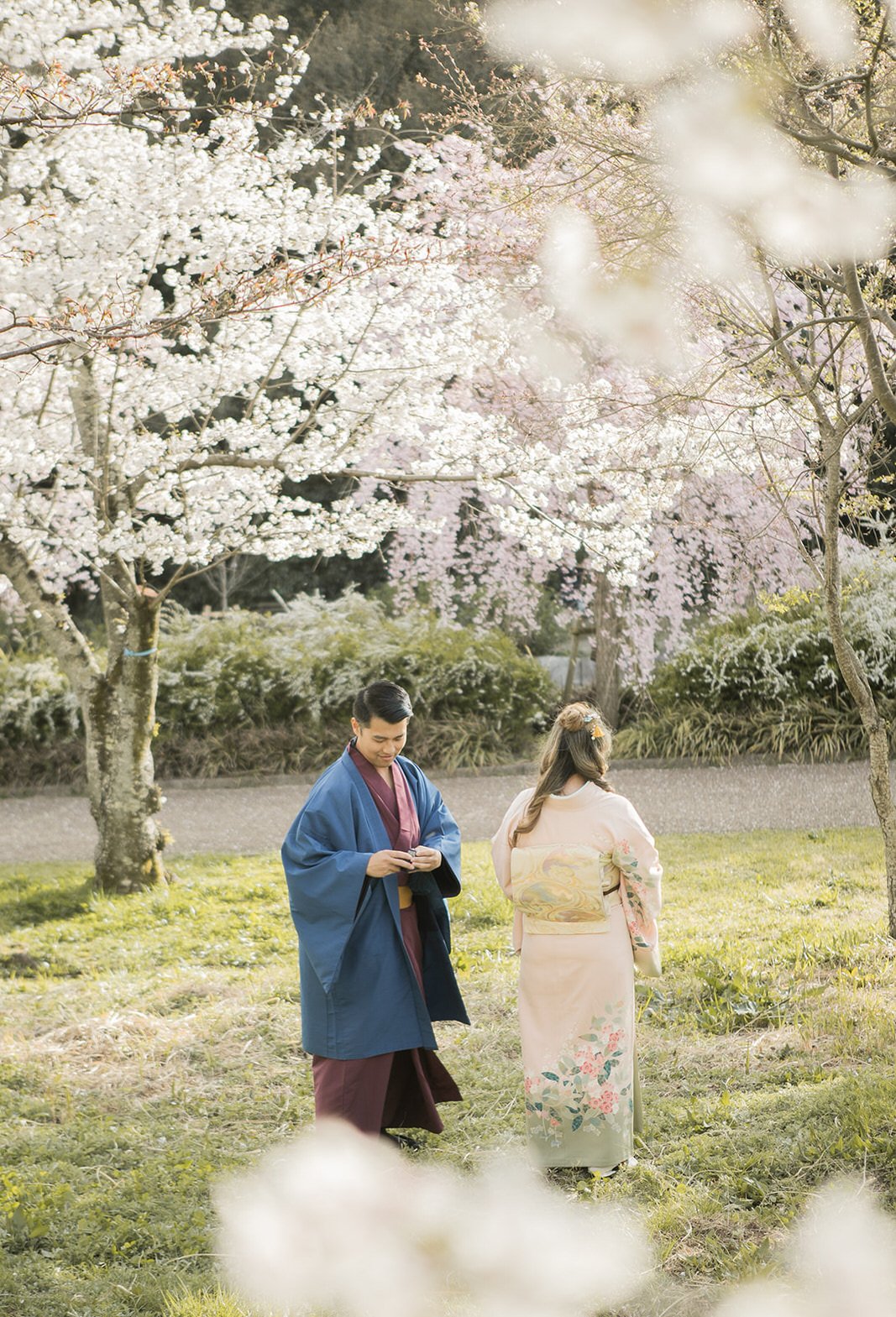 Kimono proposal photoshoot at Osaka Expo Park with cherry blossoms 2 of 27