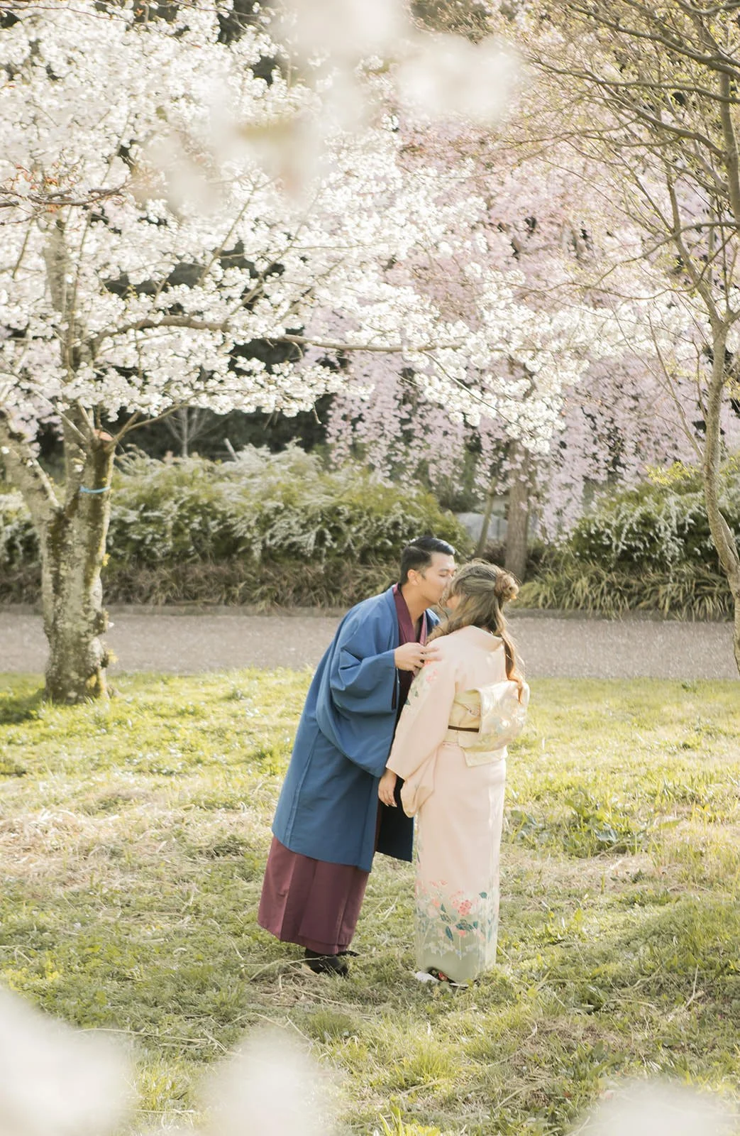 Kimono proposal photoshoot at Osaka Expo Park with cherry blossoms 3 of 27