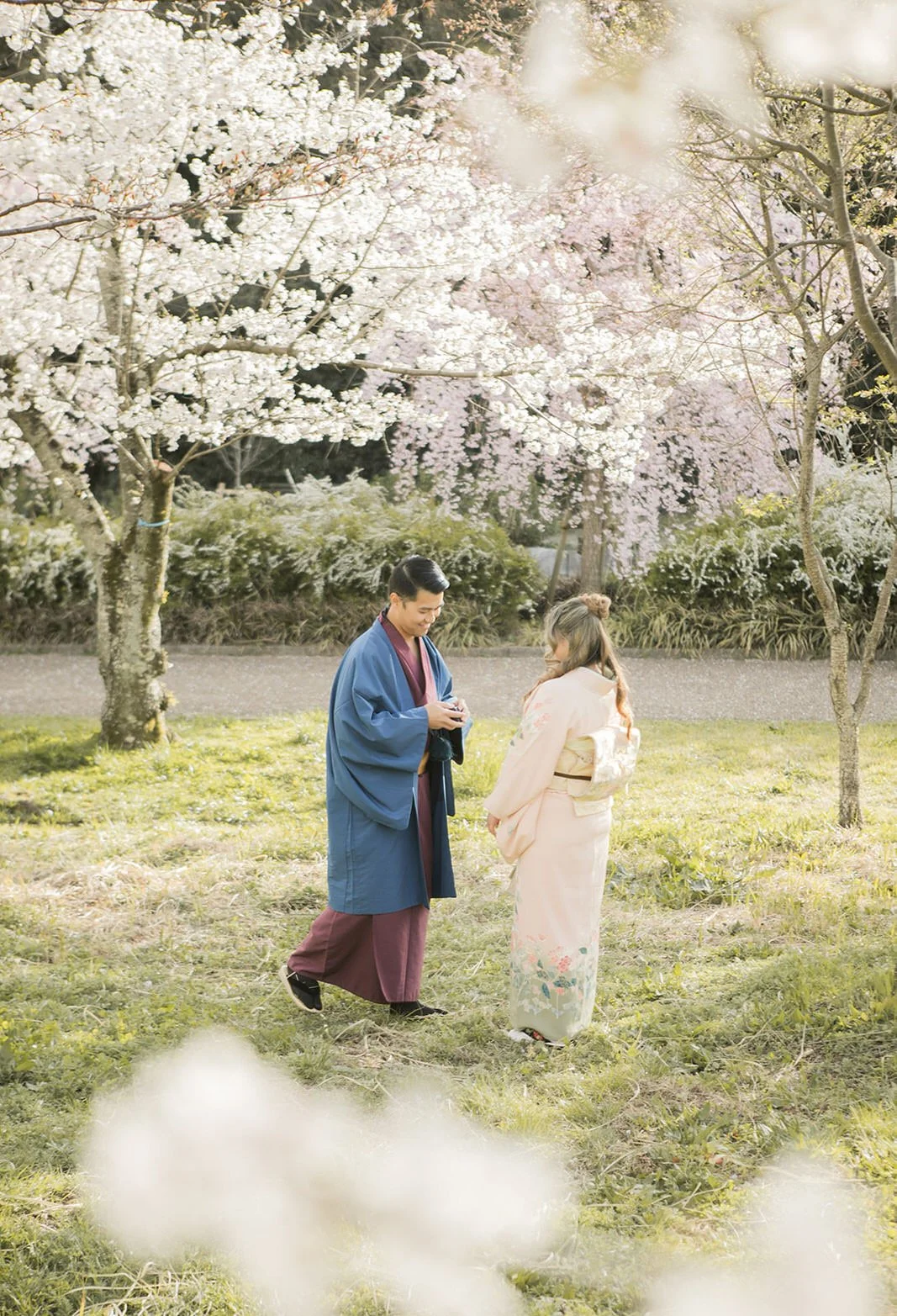 Kimono proposal photoshoot at Osaka Expo Park with cherry blossoms 4 of 27